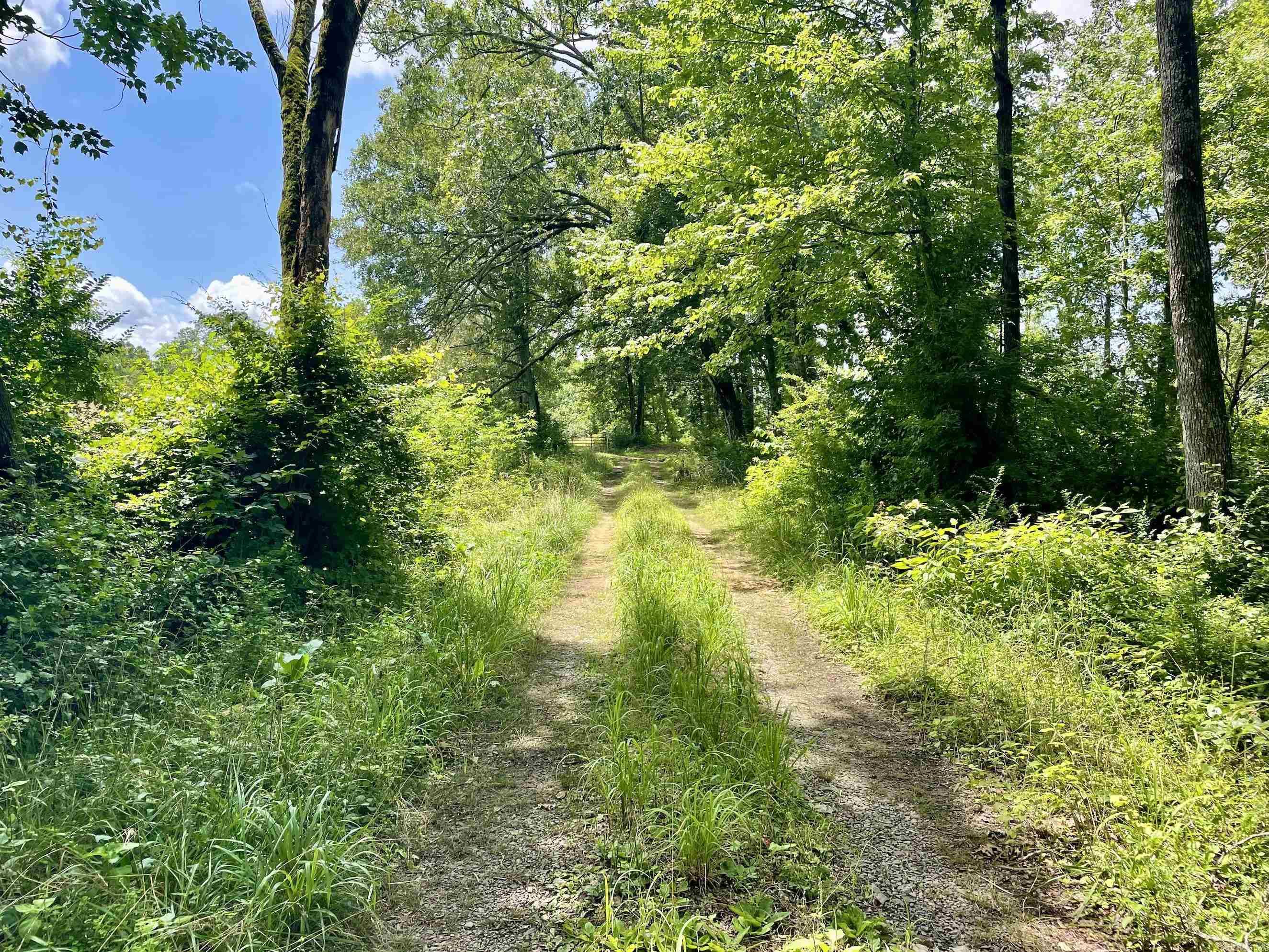 000 Scratch Gravel Road  Damascus, AR