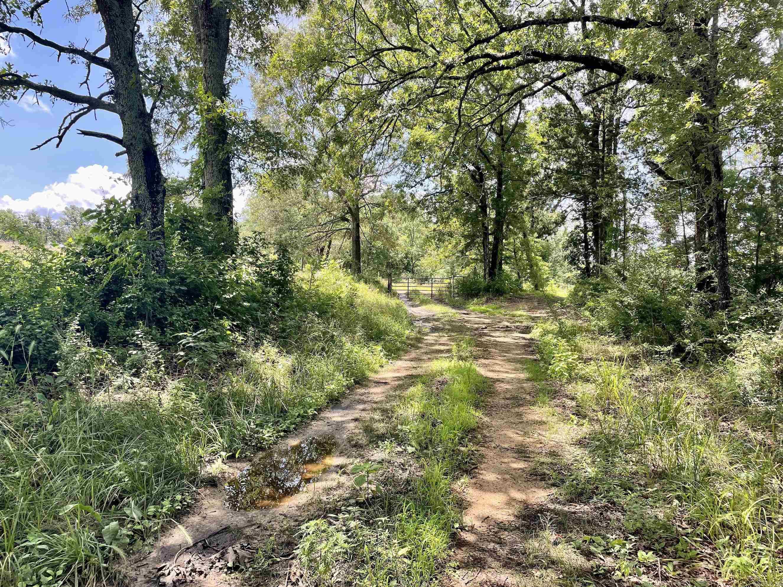 000 Scratch Gravel Road  Damascus, AR