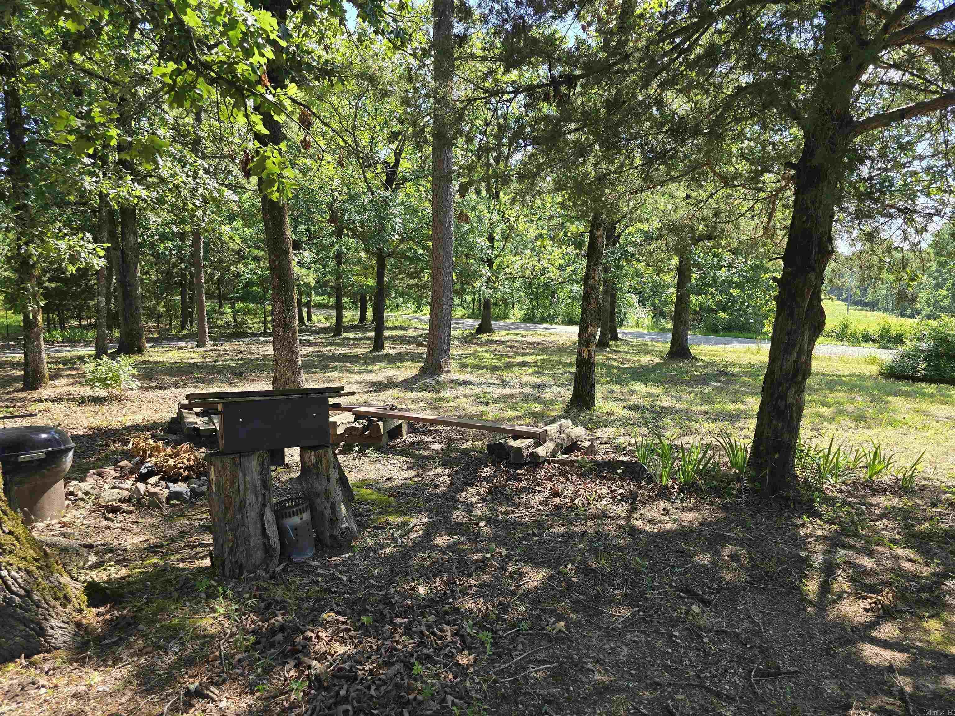 163 Polk Road 659 Mena, AR 71953