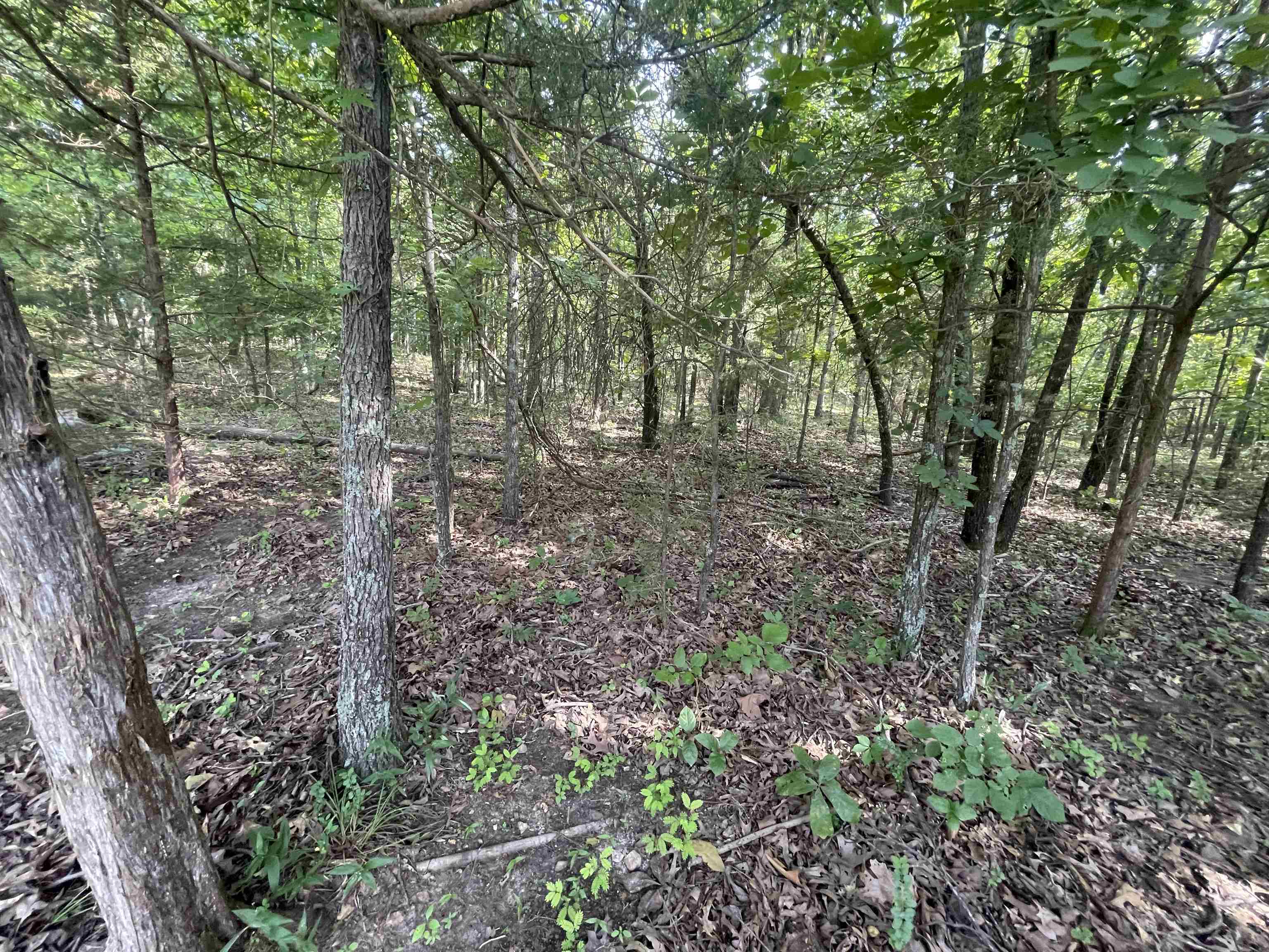 743 The Day  Ash Flat, AR