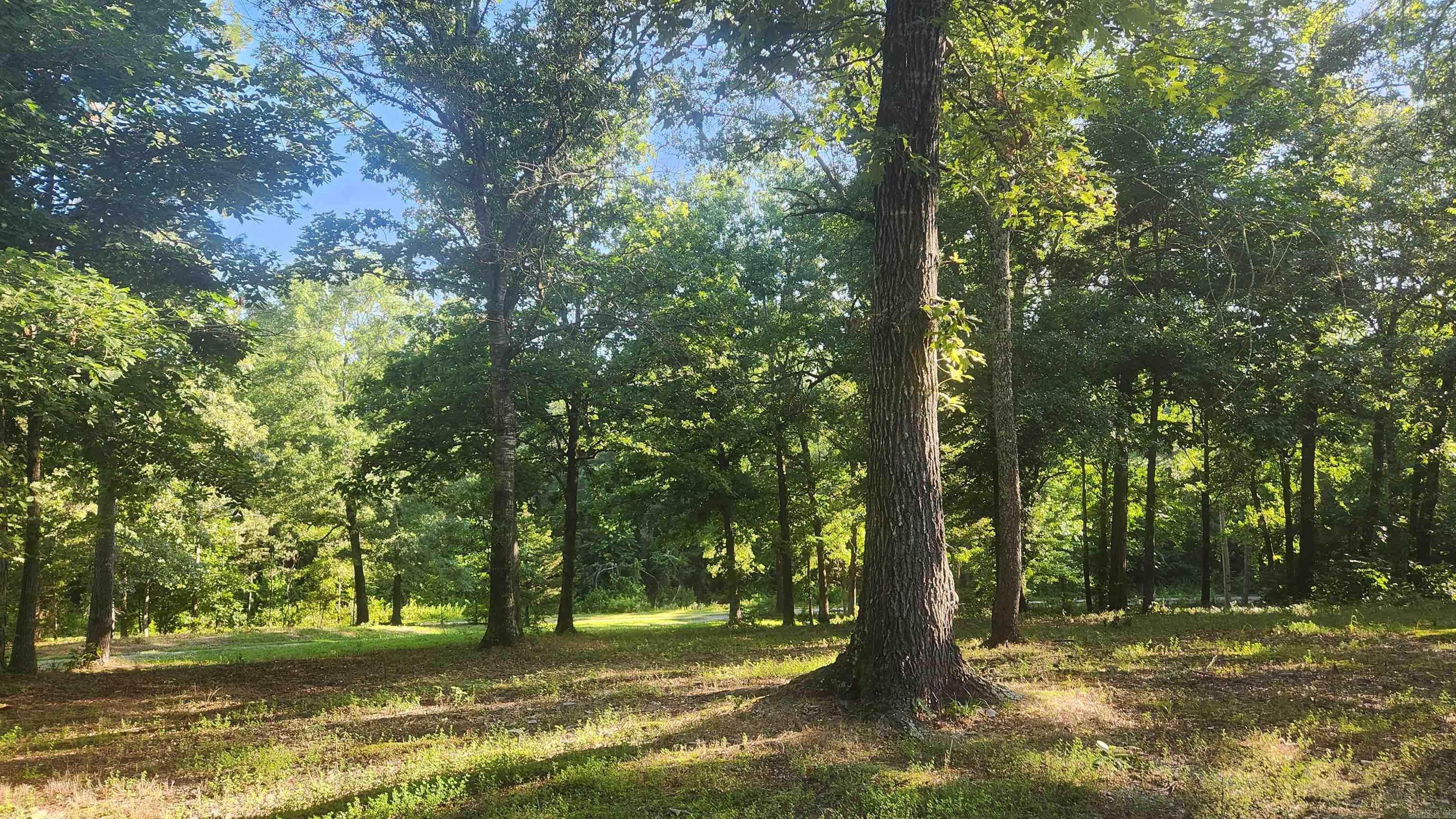 65 Farley Lane  Story, AR