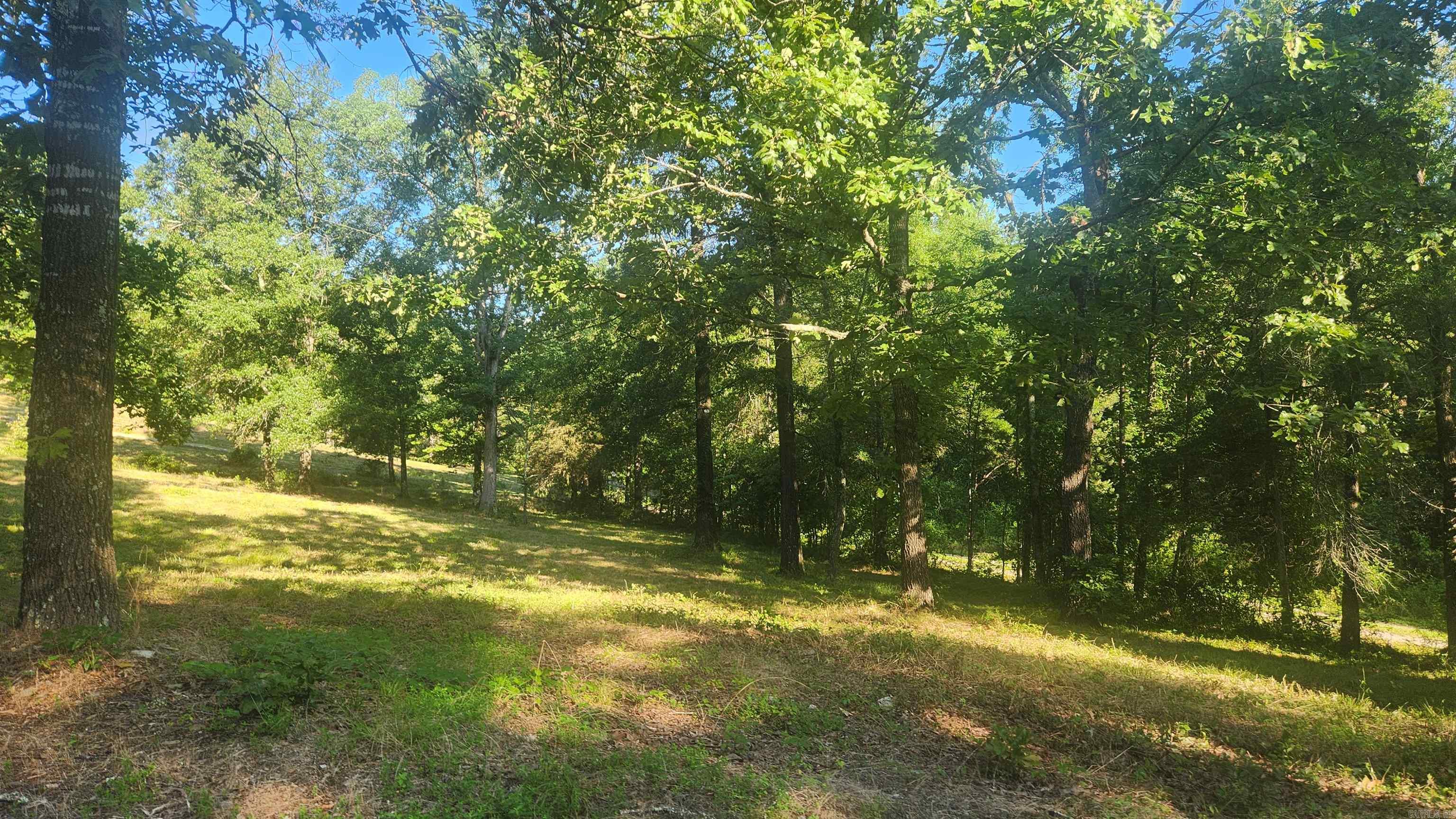 65 Farley Lane  Story, AR