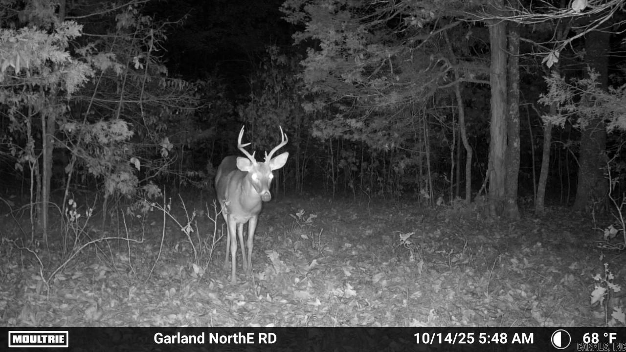 000 Old Dolph  Pineville, AR