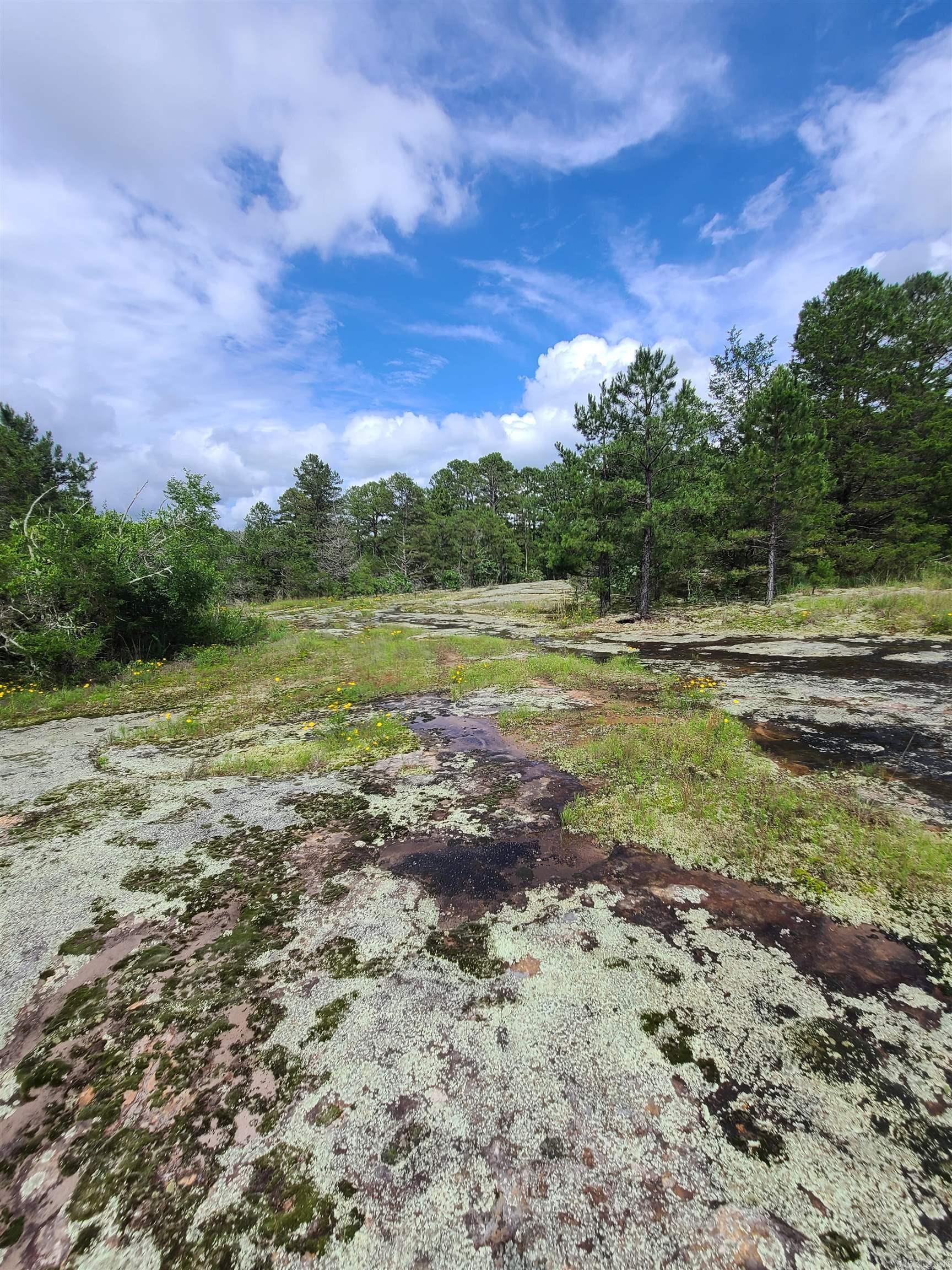 000 Old Dolph  Pineville, AR