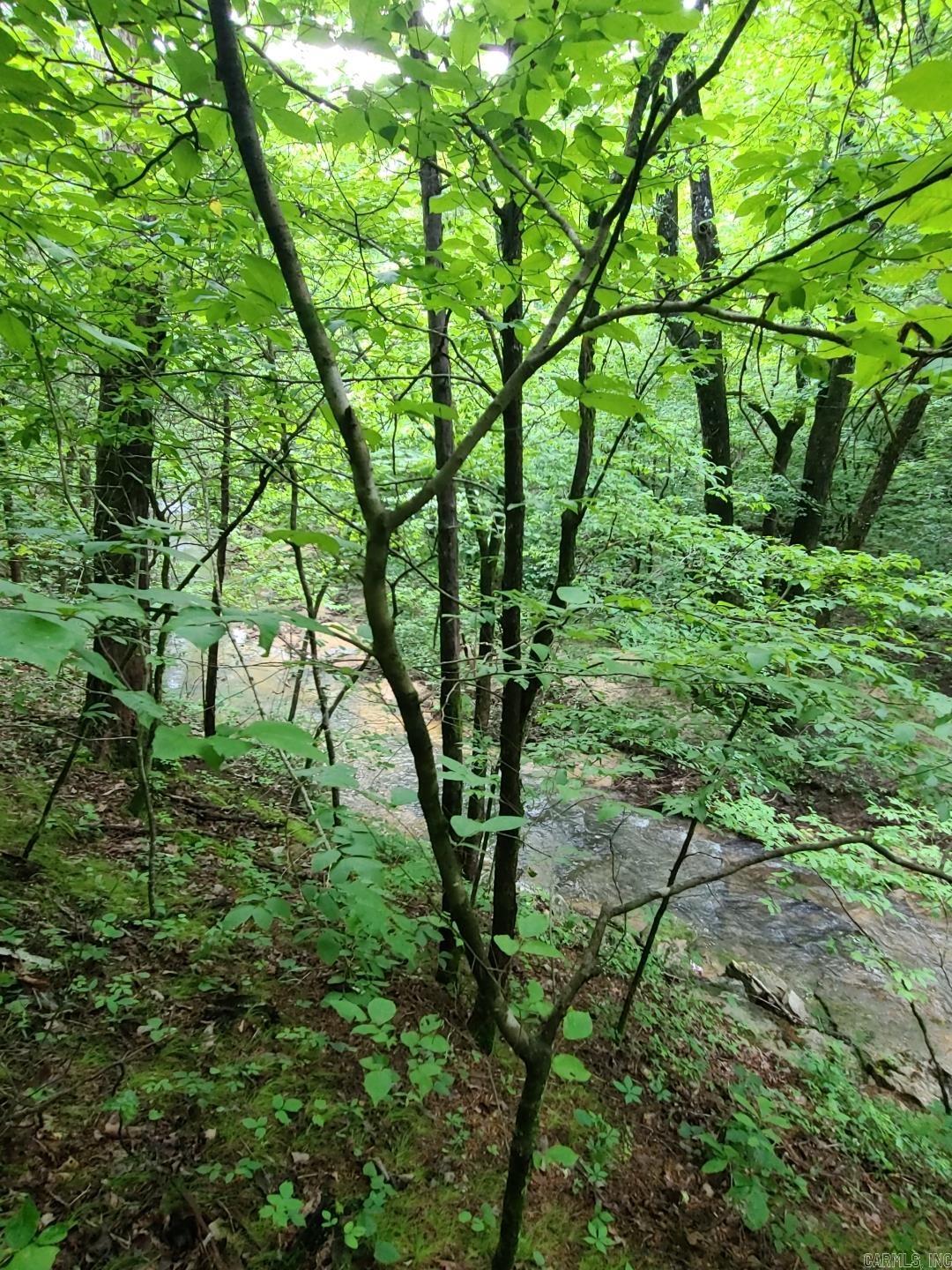 000 Old Dolph  Pineville, AR