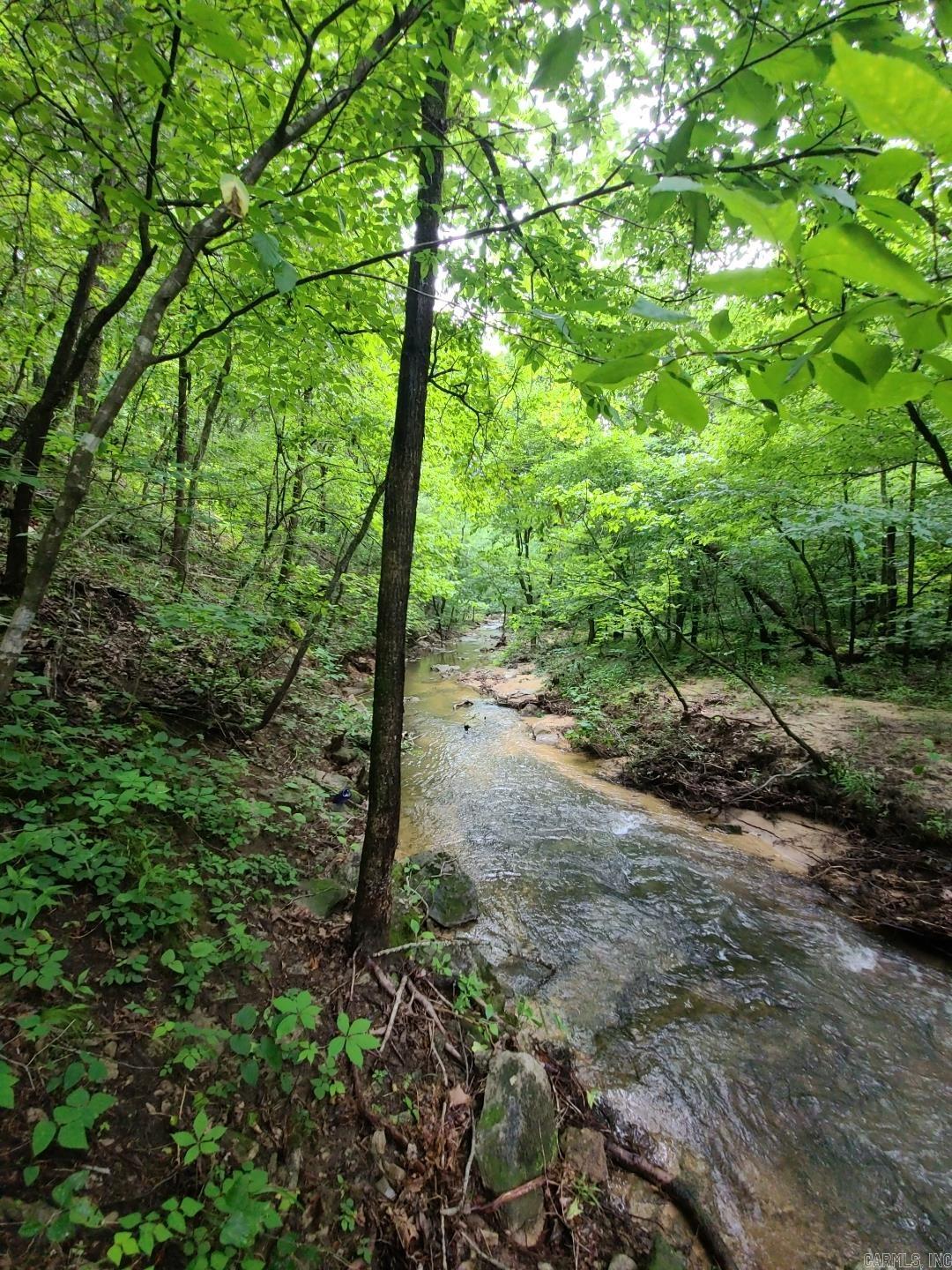 000 Old Dolph  Pineville, AR