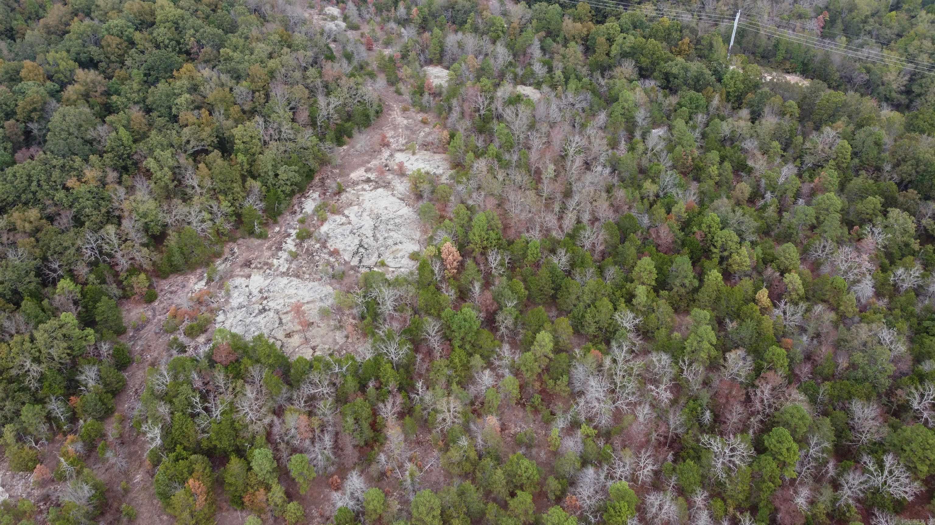 000 Old Dolph  Pineville, AR