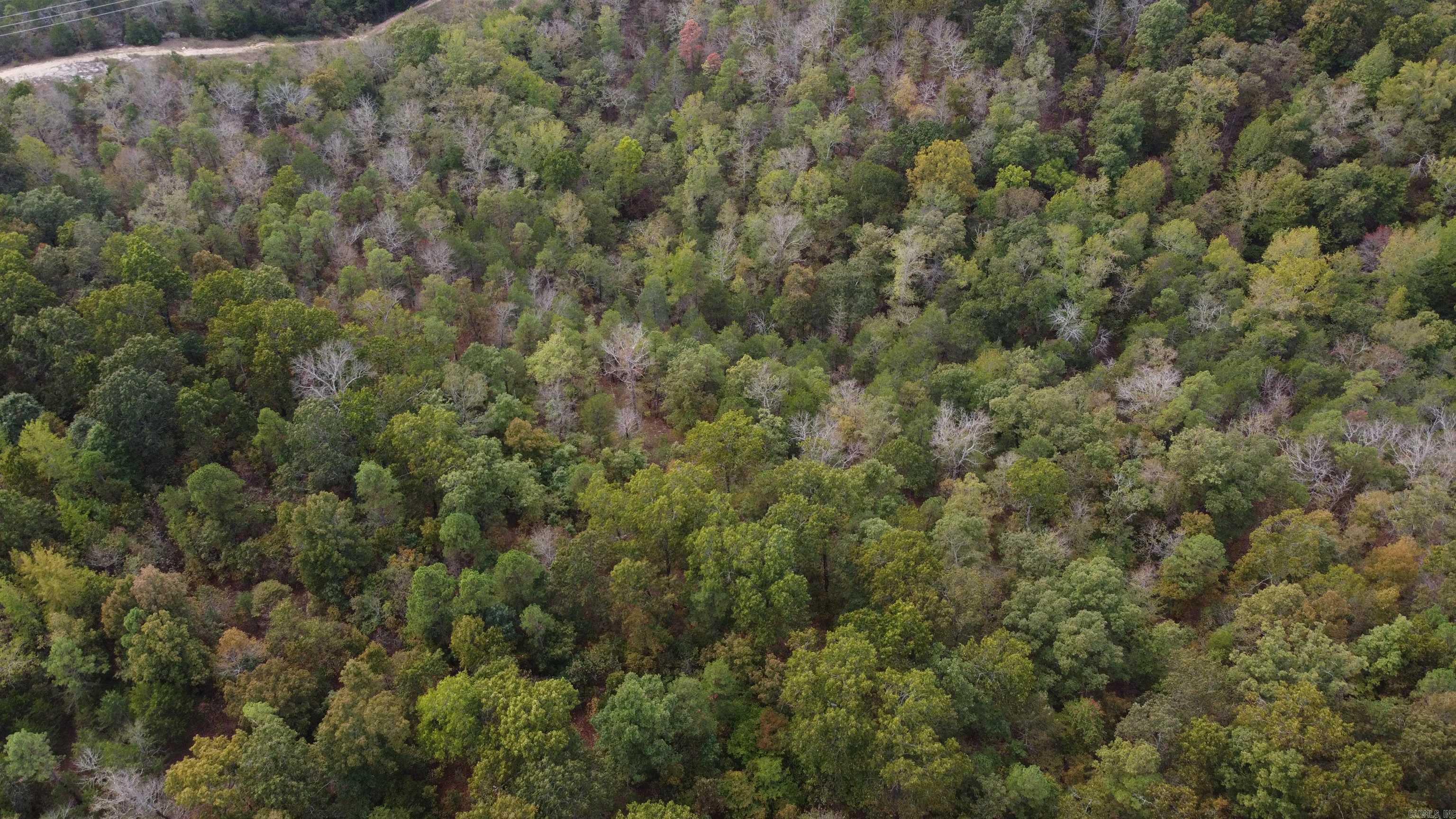 000 Old Dolph  Pineville, AR