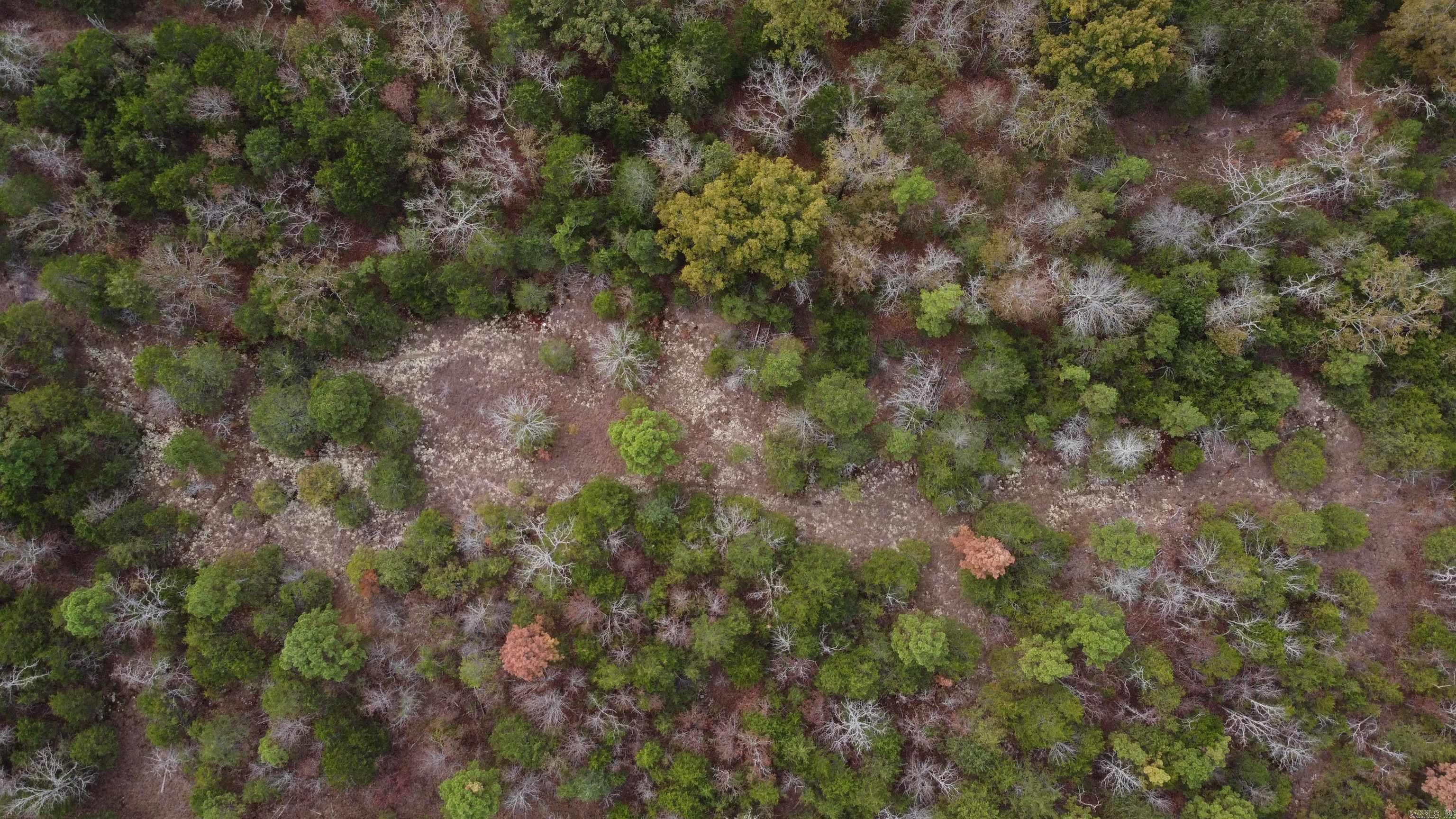 000 Old Dolph  Pineville, AR