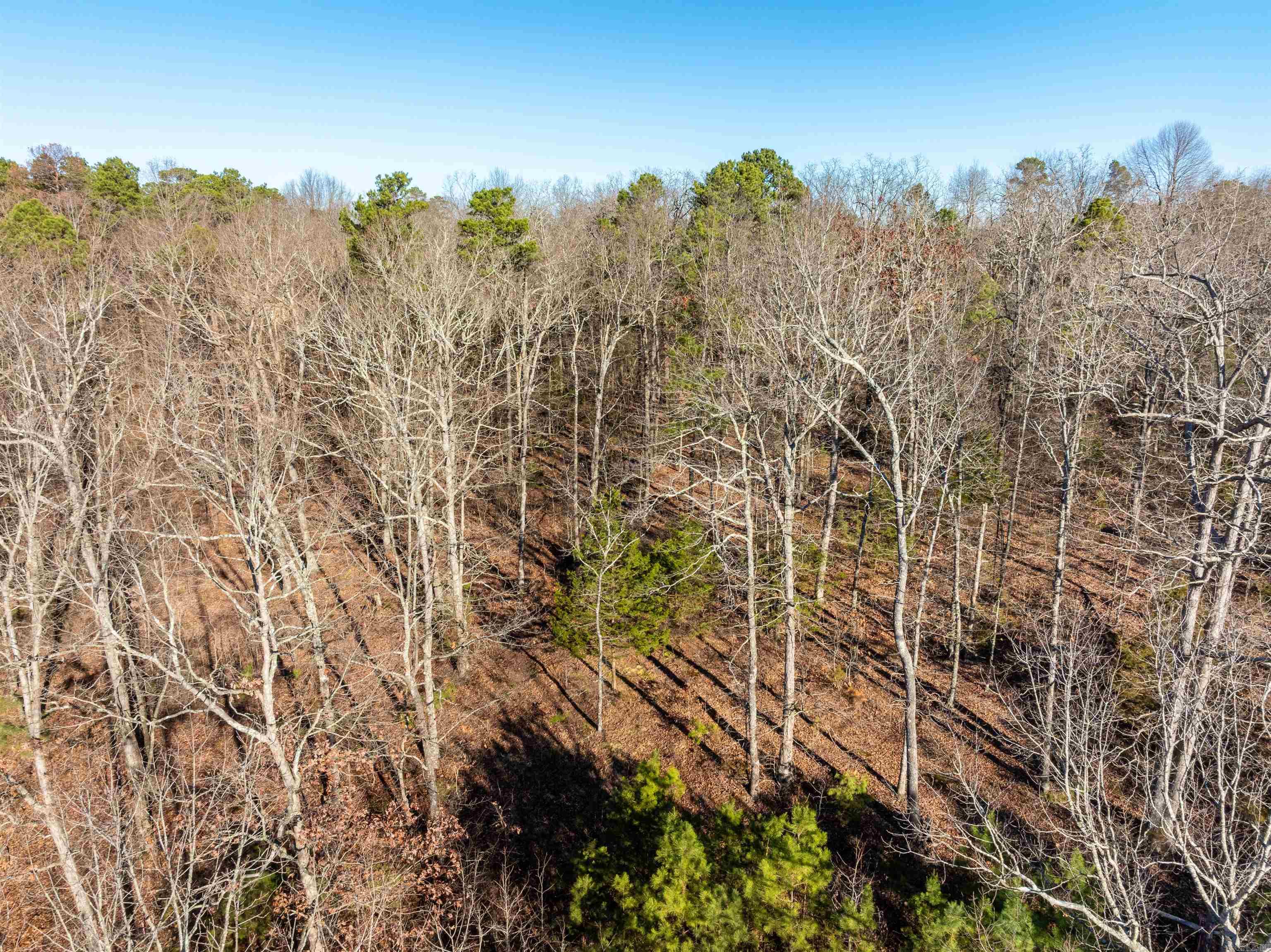 4027 Blackland Road  Pleasant Plains, AR