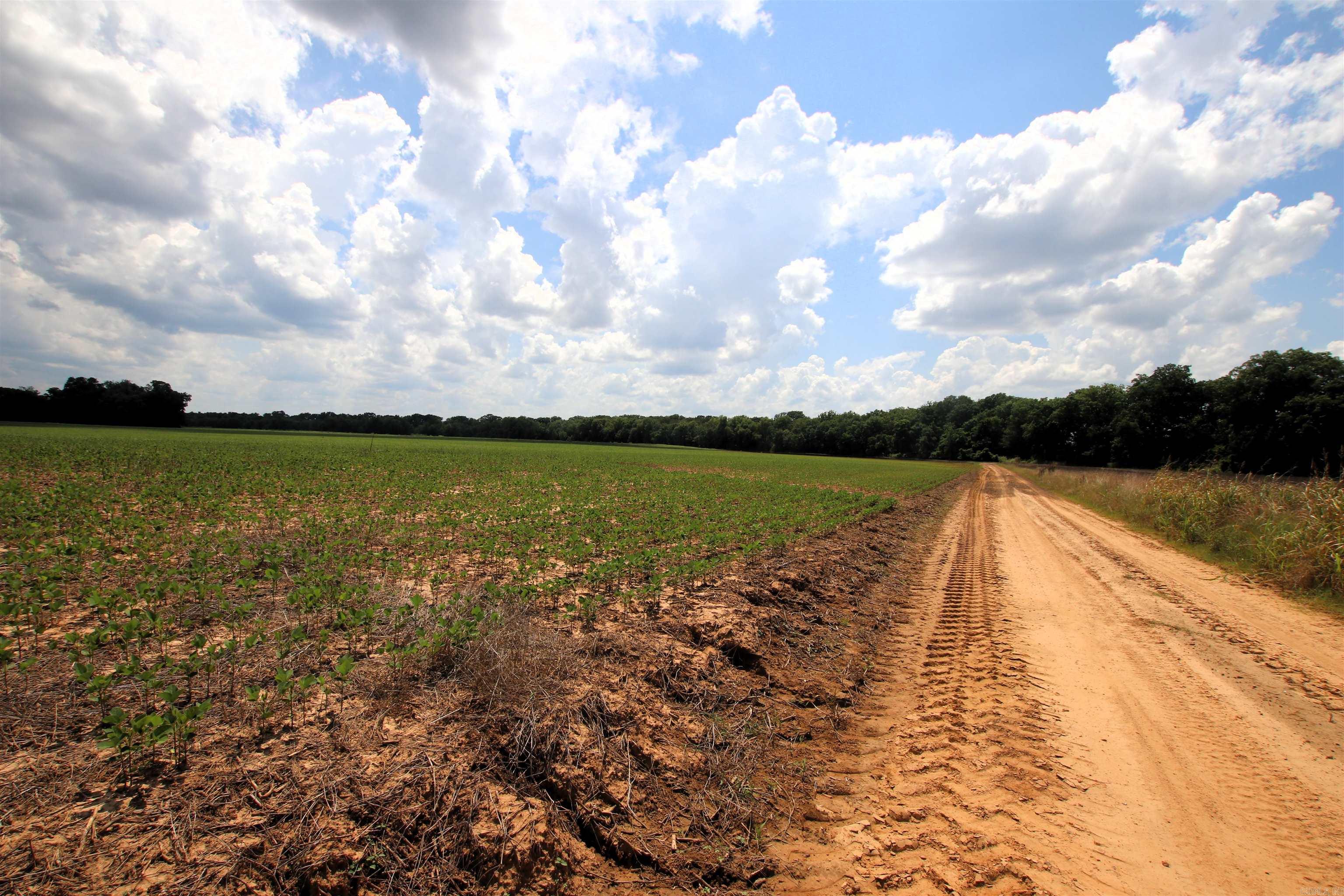 000 Portland  Plumerville, AR