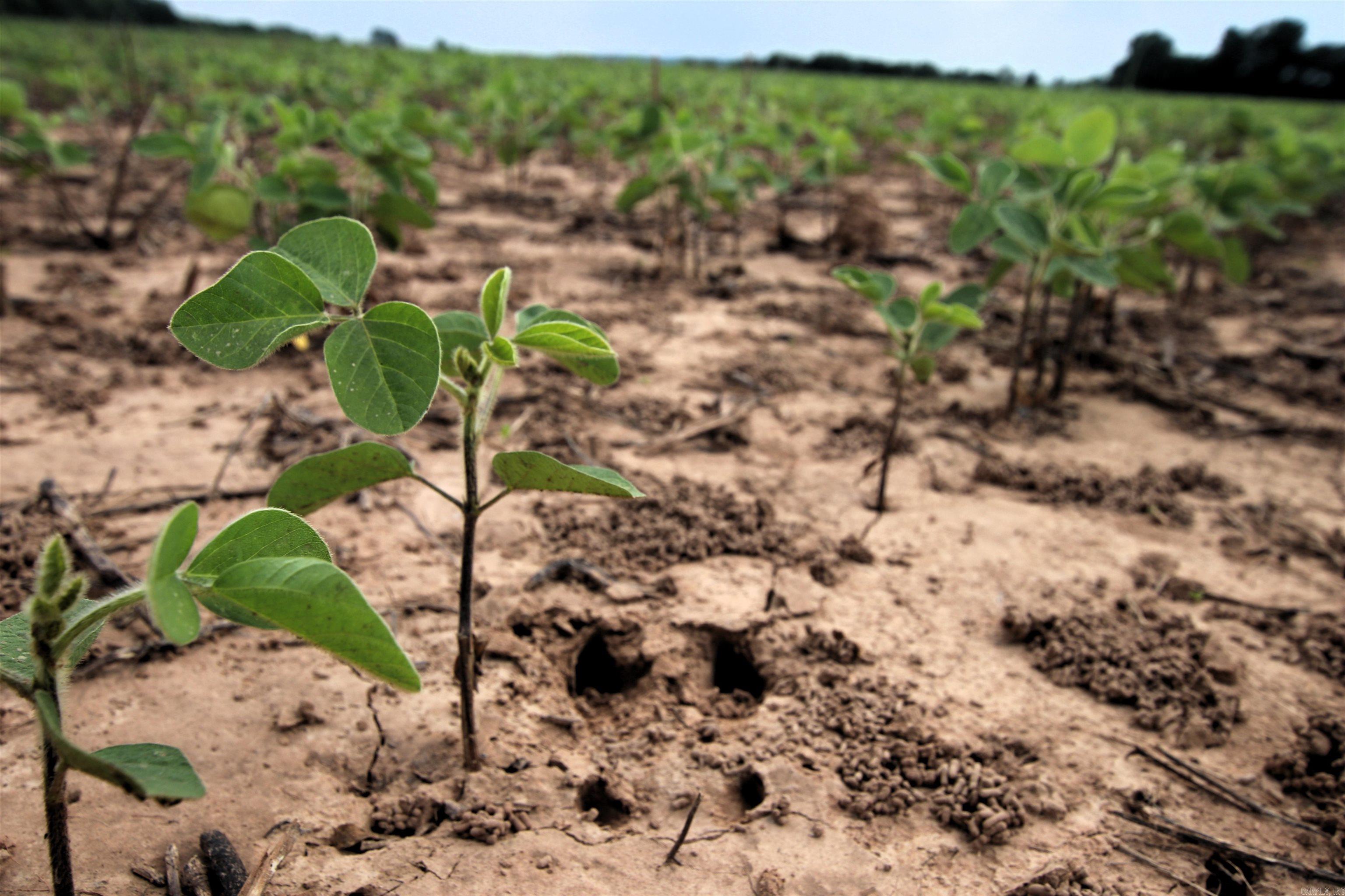 000 Portland  Plumerville, AR