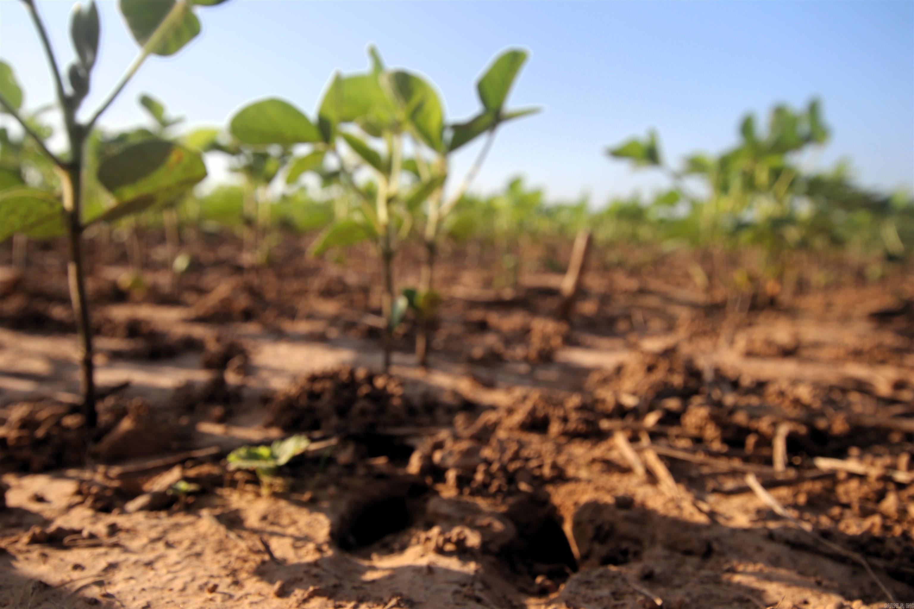 000 Portland  Plumerville, AR