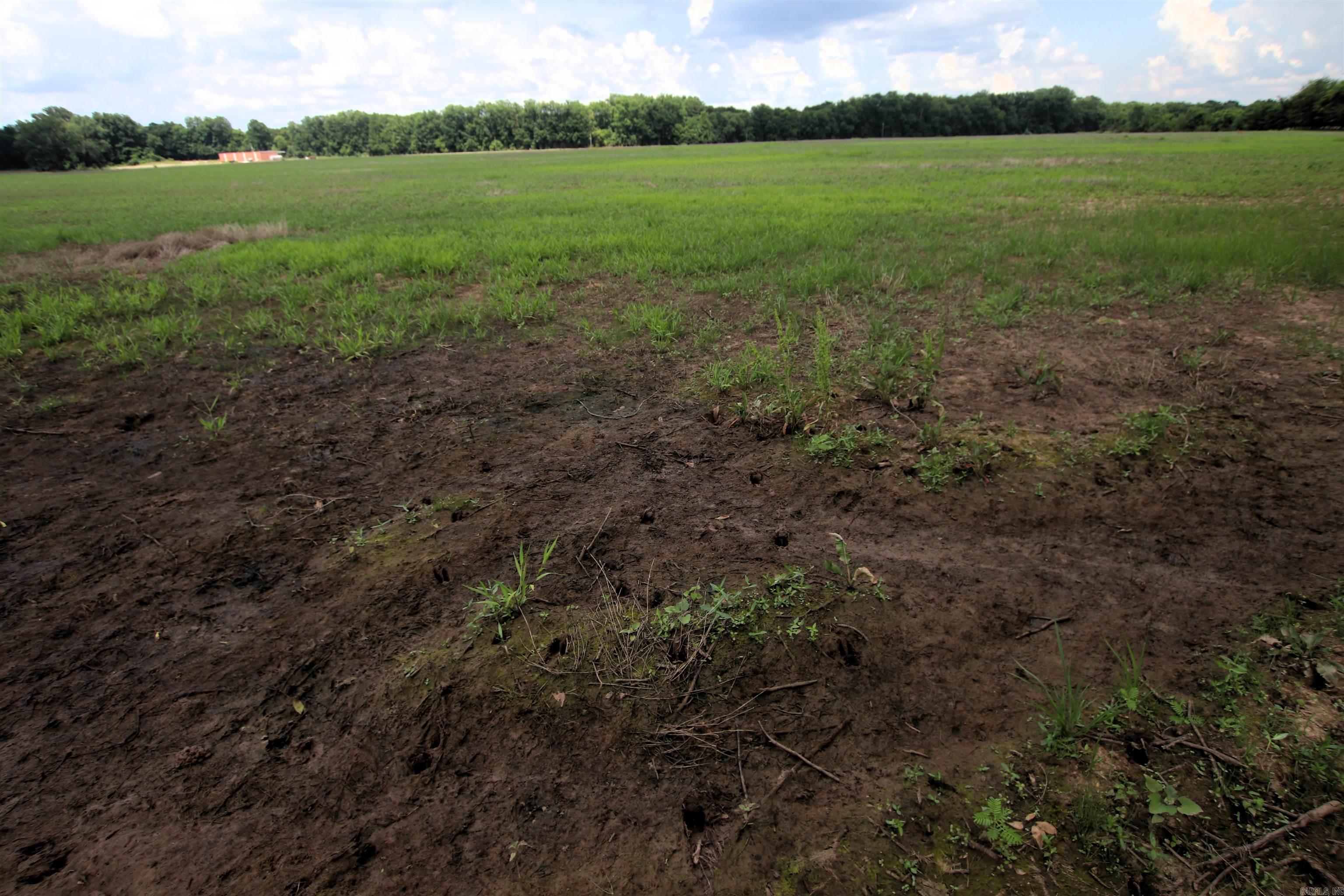 000 Portland  Plumerville, AR