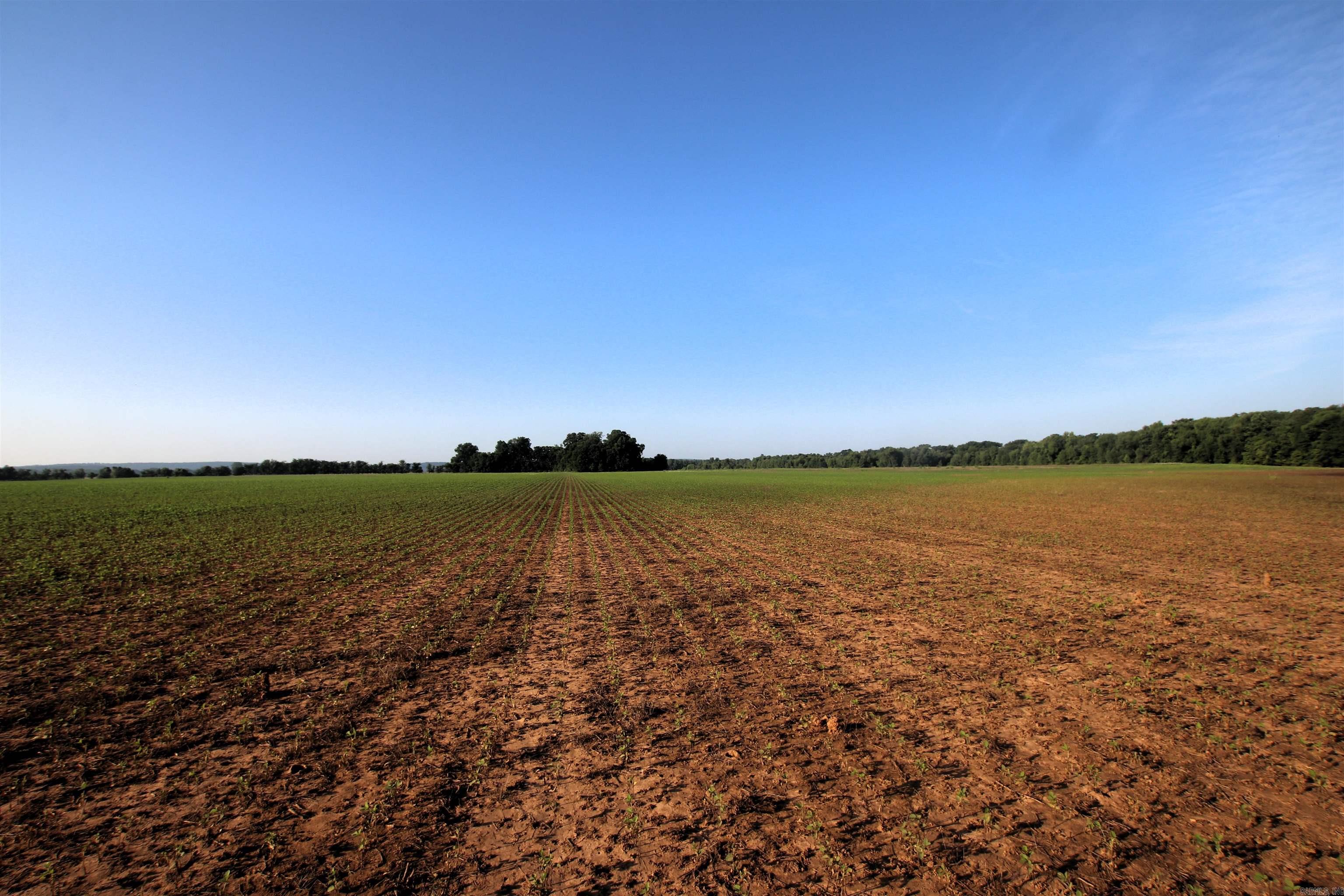 000 Portland  Plumerville, AR