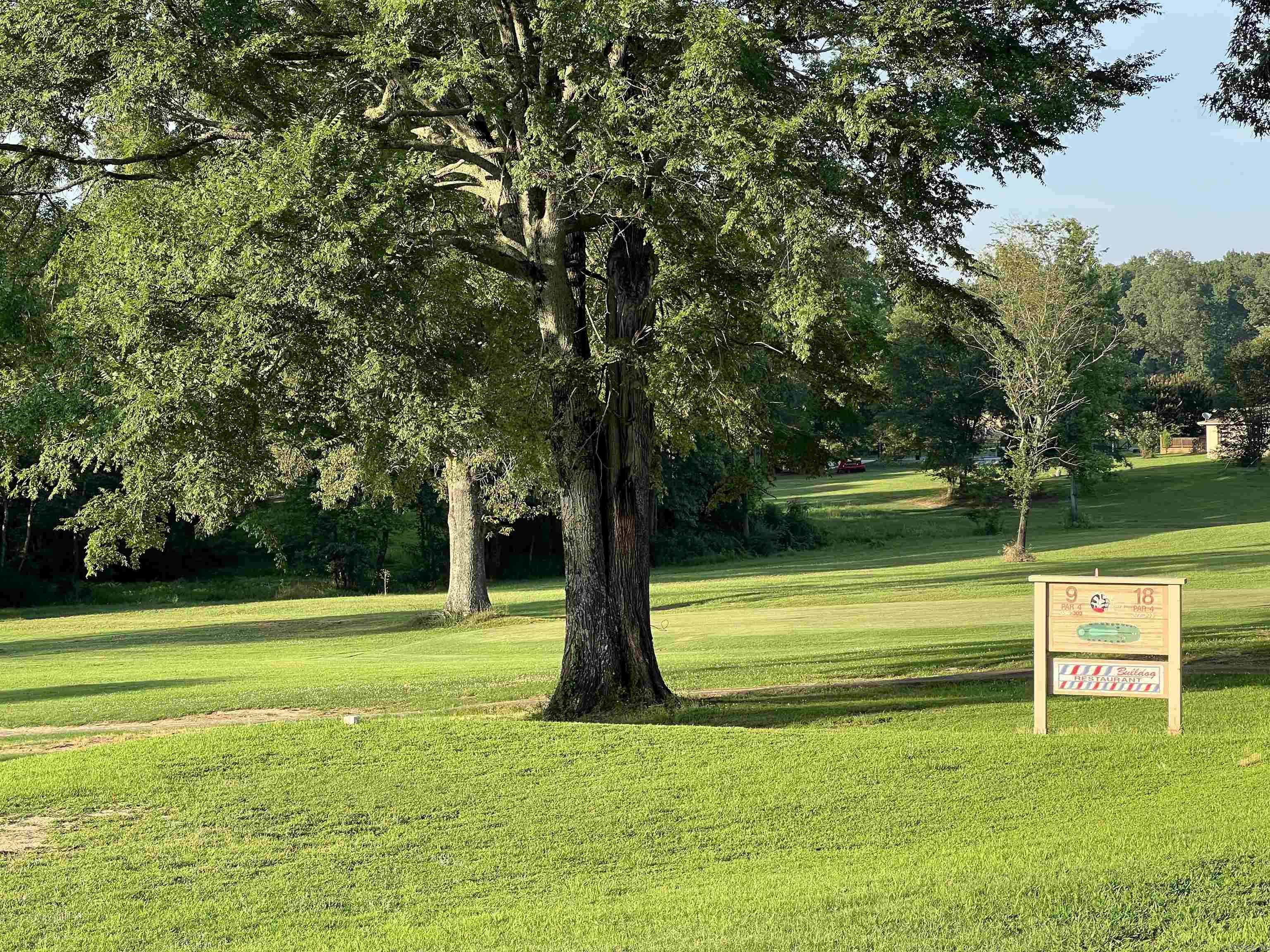 101 Fairway Drive Bald Knob, AR 72010