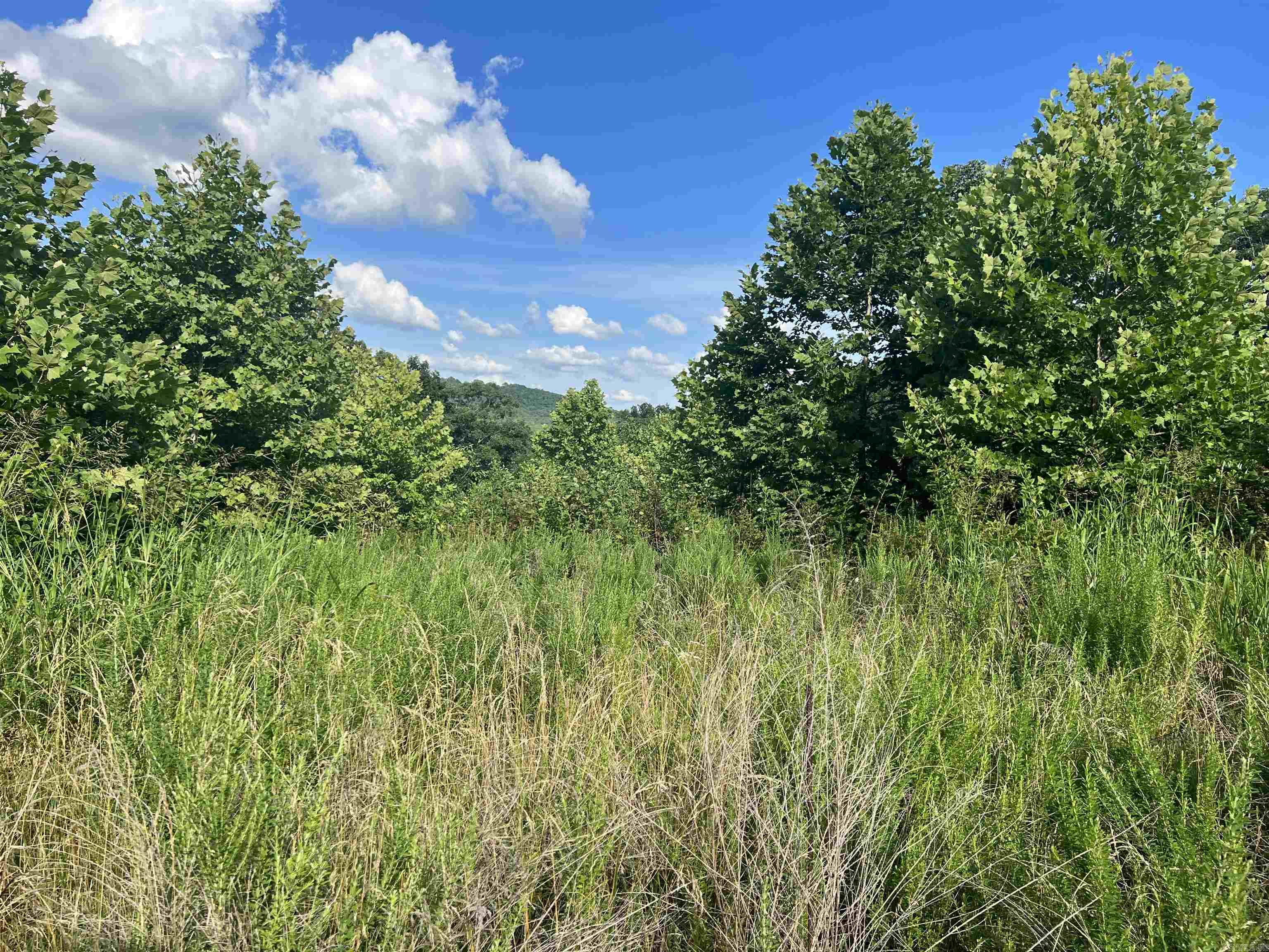 263 NC 3951 Marble Falls, AR 72648