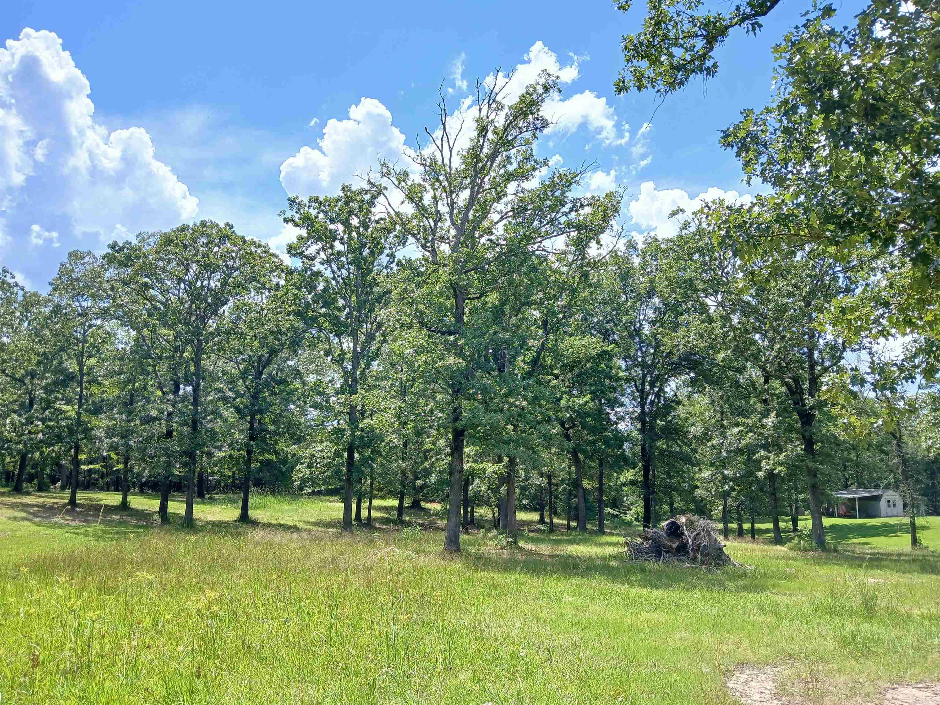 224 Veranda Trail Pearcy, AR 71913