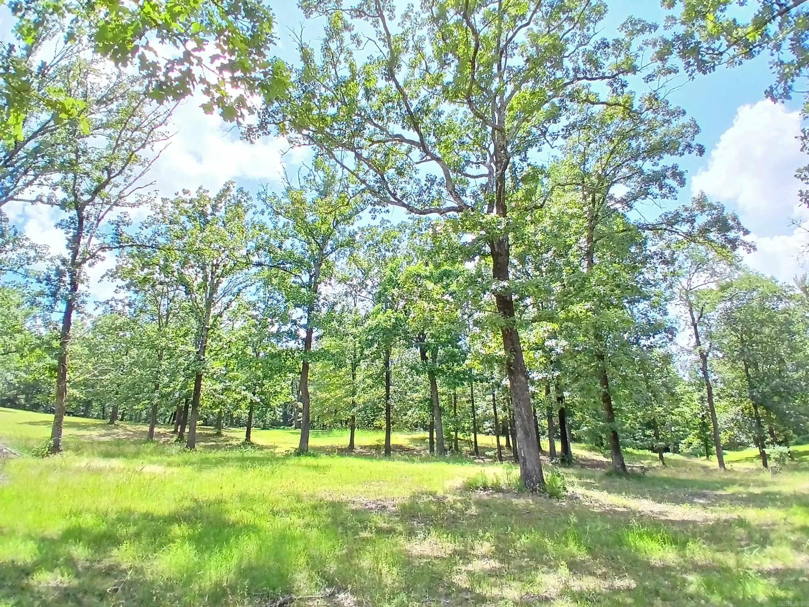 224 Veranda Trail Pearcy, AR 71913