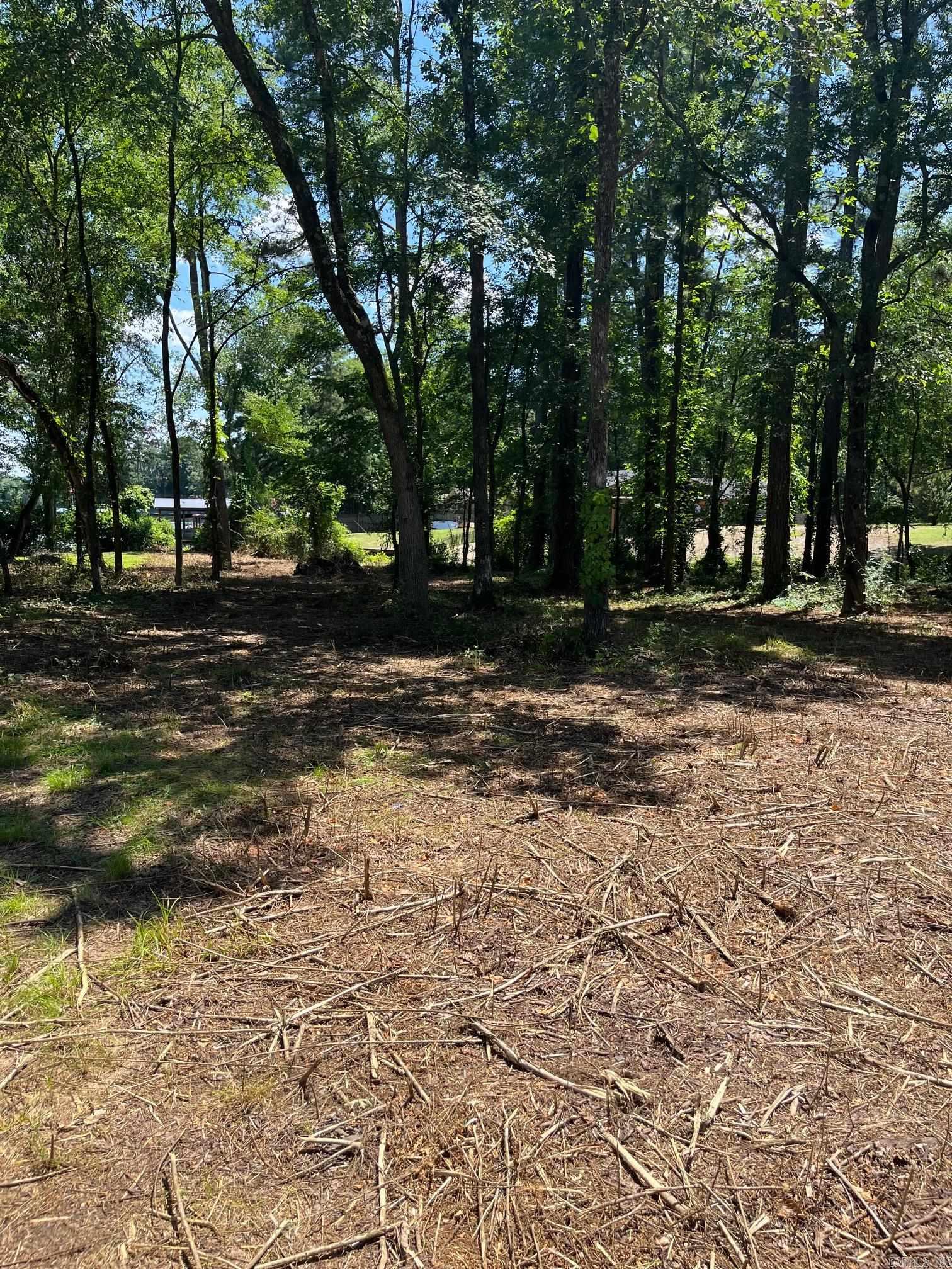 000 Big Duke  Hot Springs, AR