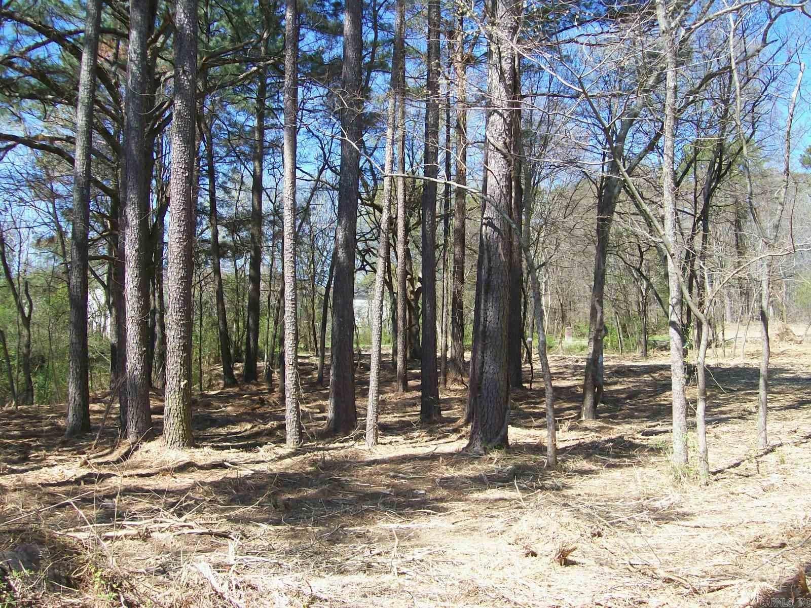 000 Big Duke  Hot Springs, AR