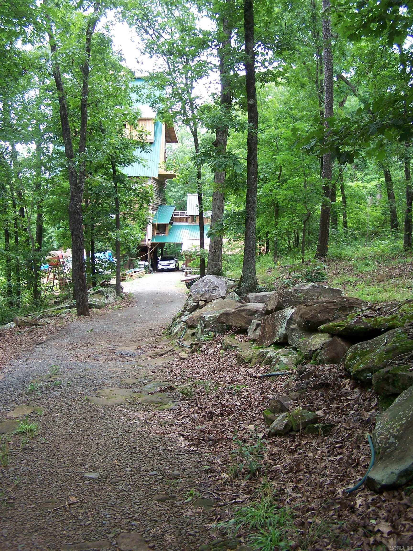 1307 Dodd Mtn. Rd. Shirley, AR 72153