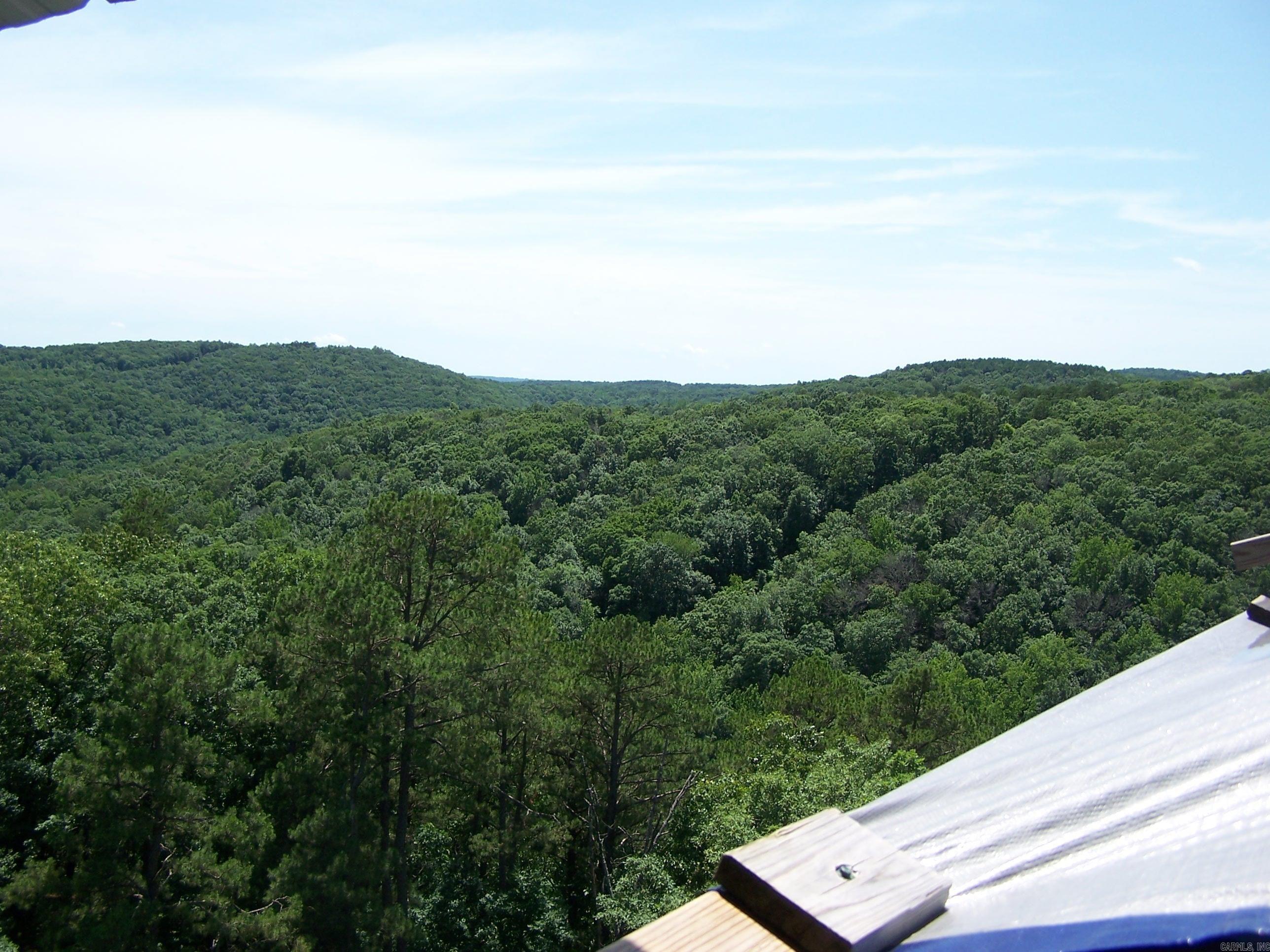 1307 Dodd Mtn. Rd. Shirley, AR 72153