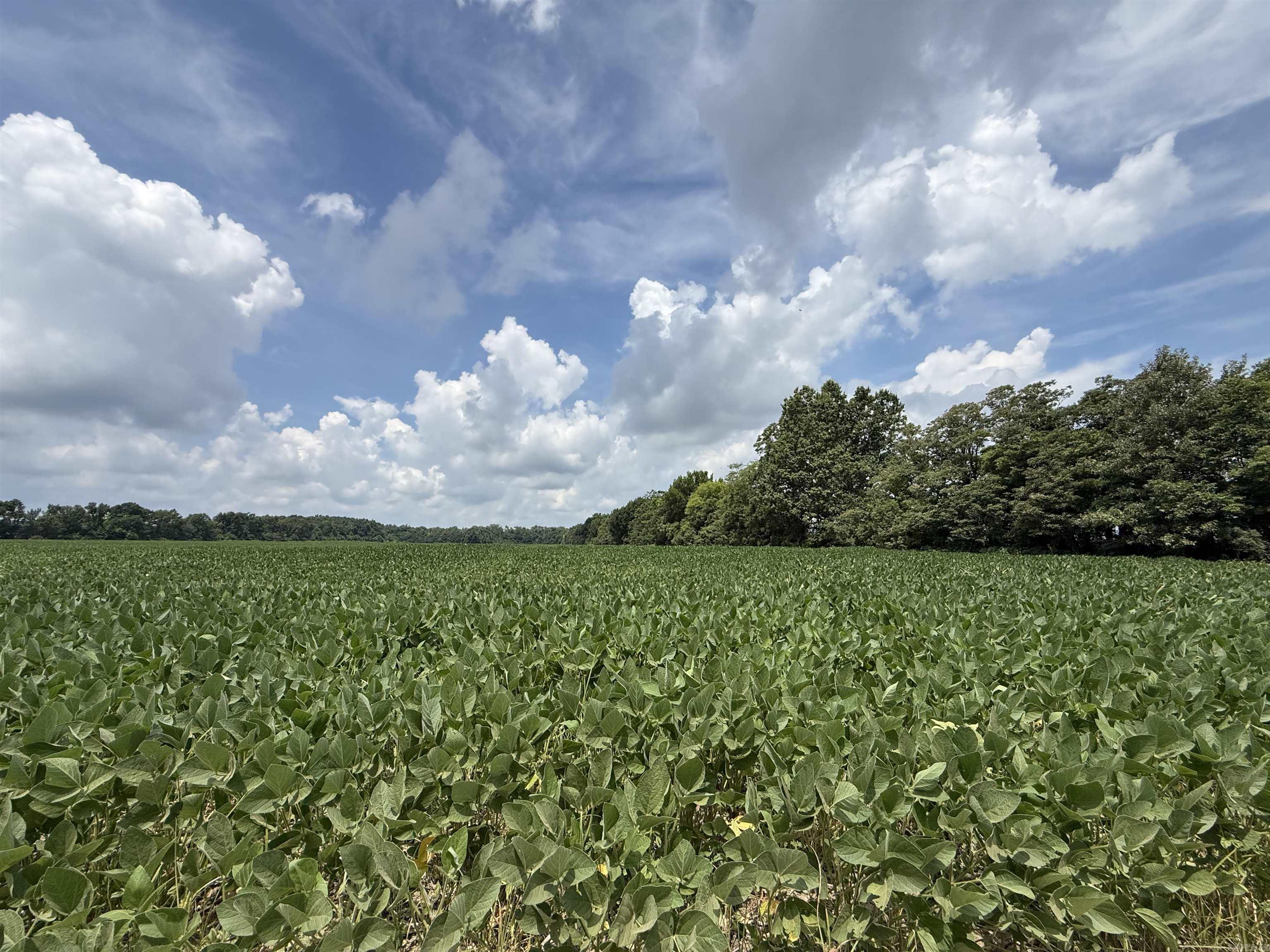 00 copeland rd  Crawfordsville, AR