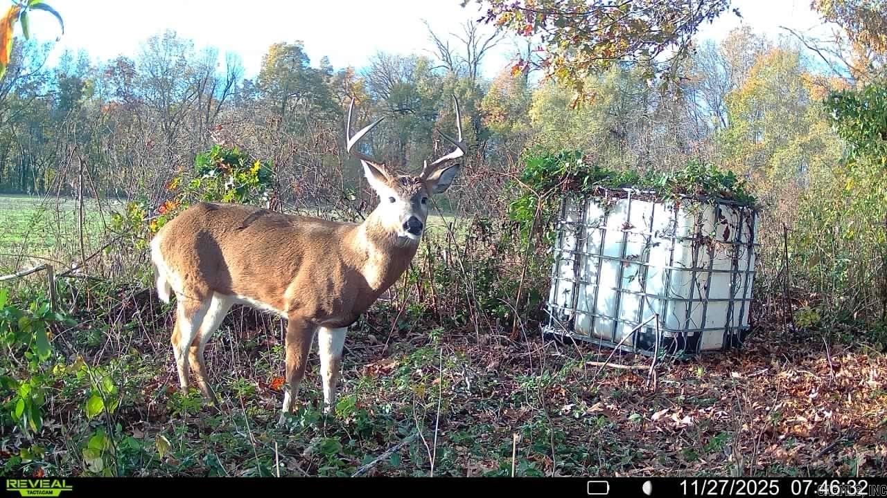 00 copeland rd  Crawfordsville, AR