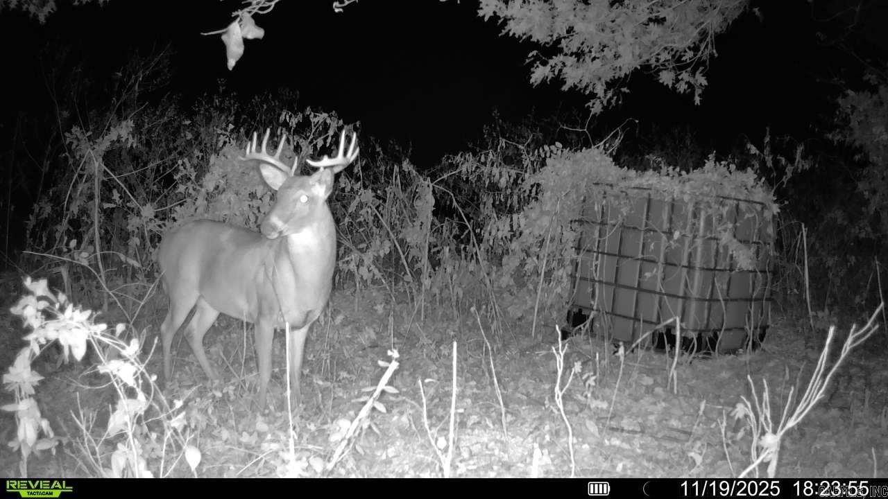 00 copeland rd  Crawfordsville, AR