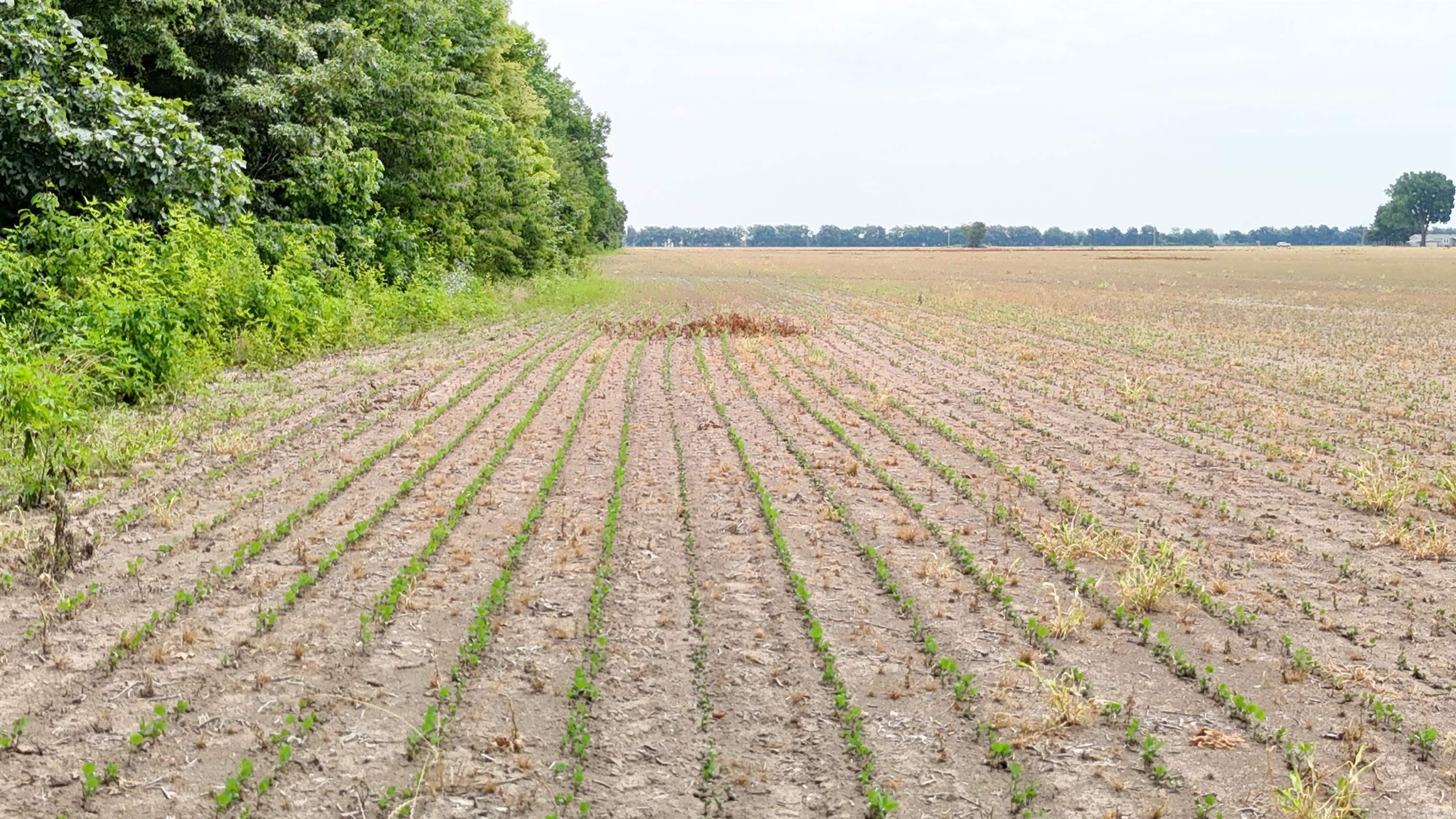 00 copeland rd  Crawfordsville, AR