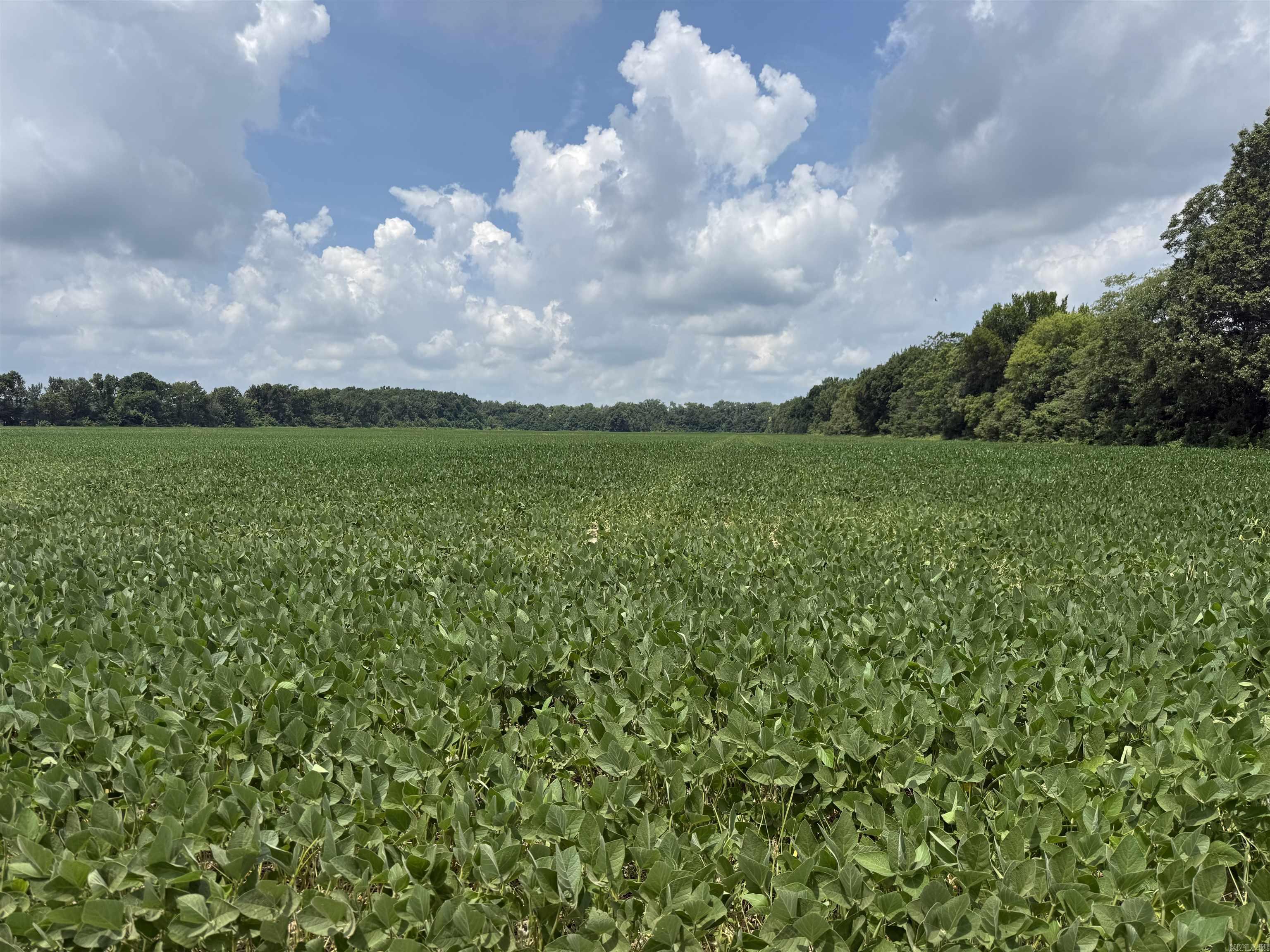 00 copeland rd  Crawfordsville, AR