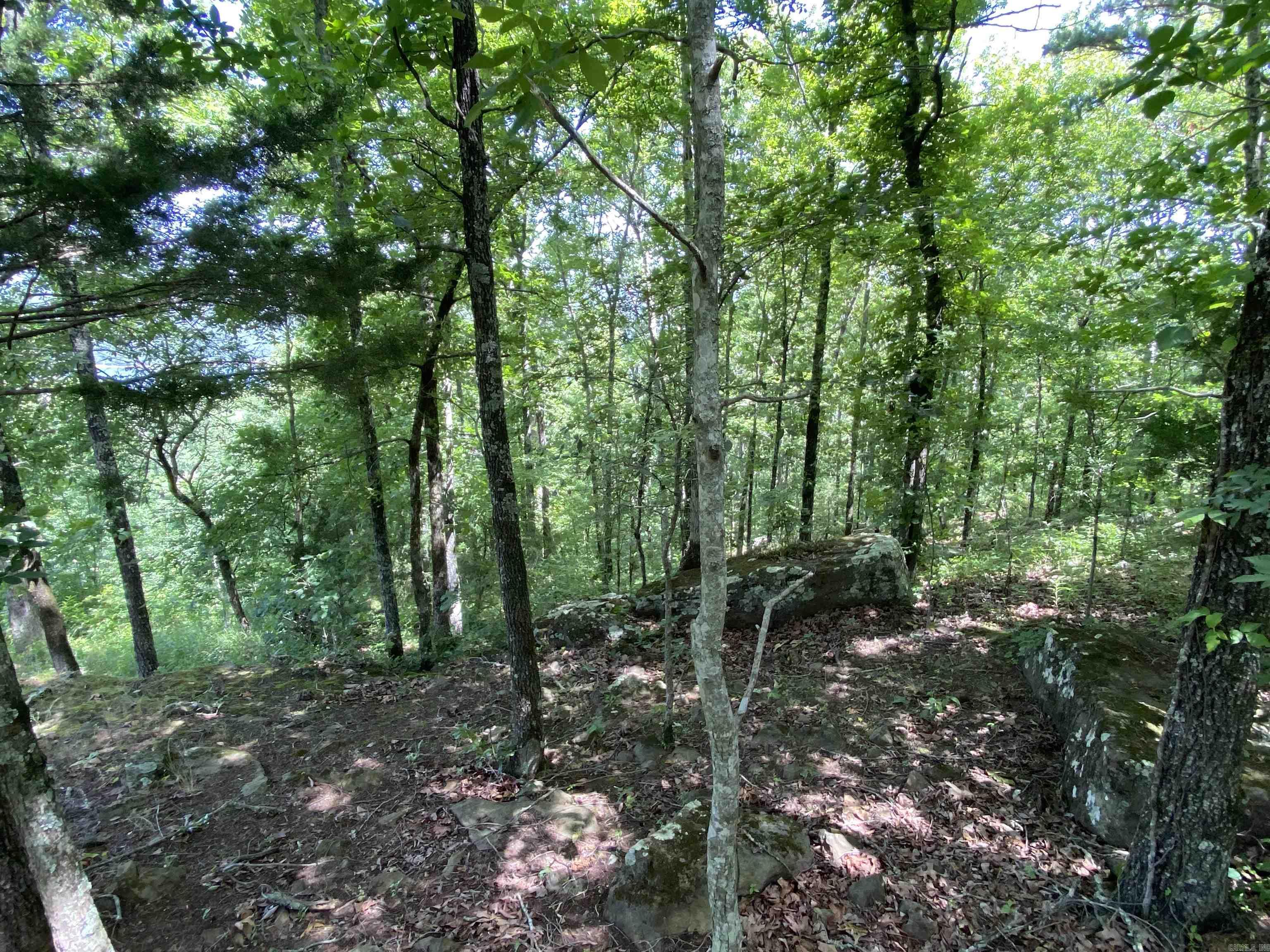 Lot 16 Bluff  Edgemont, AR