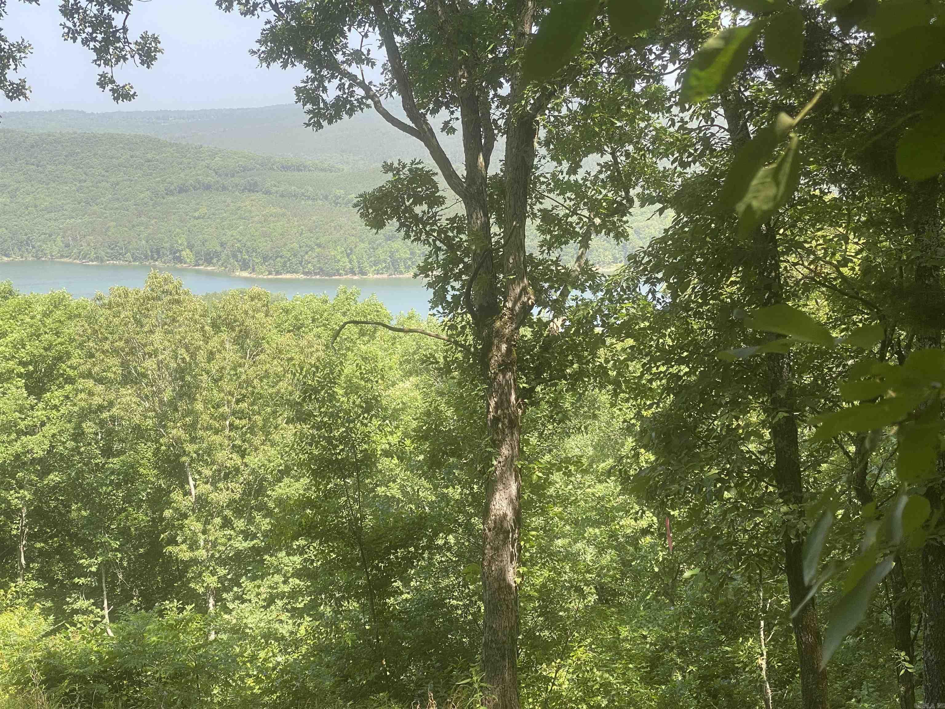 Lot 16 Bluff  Edgemont, AR