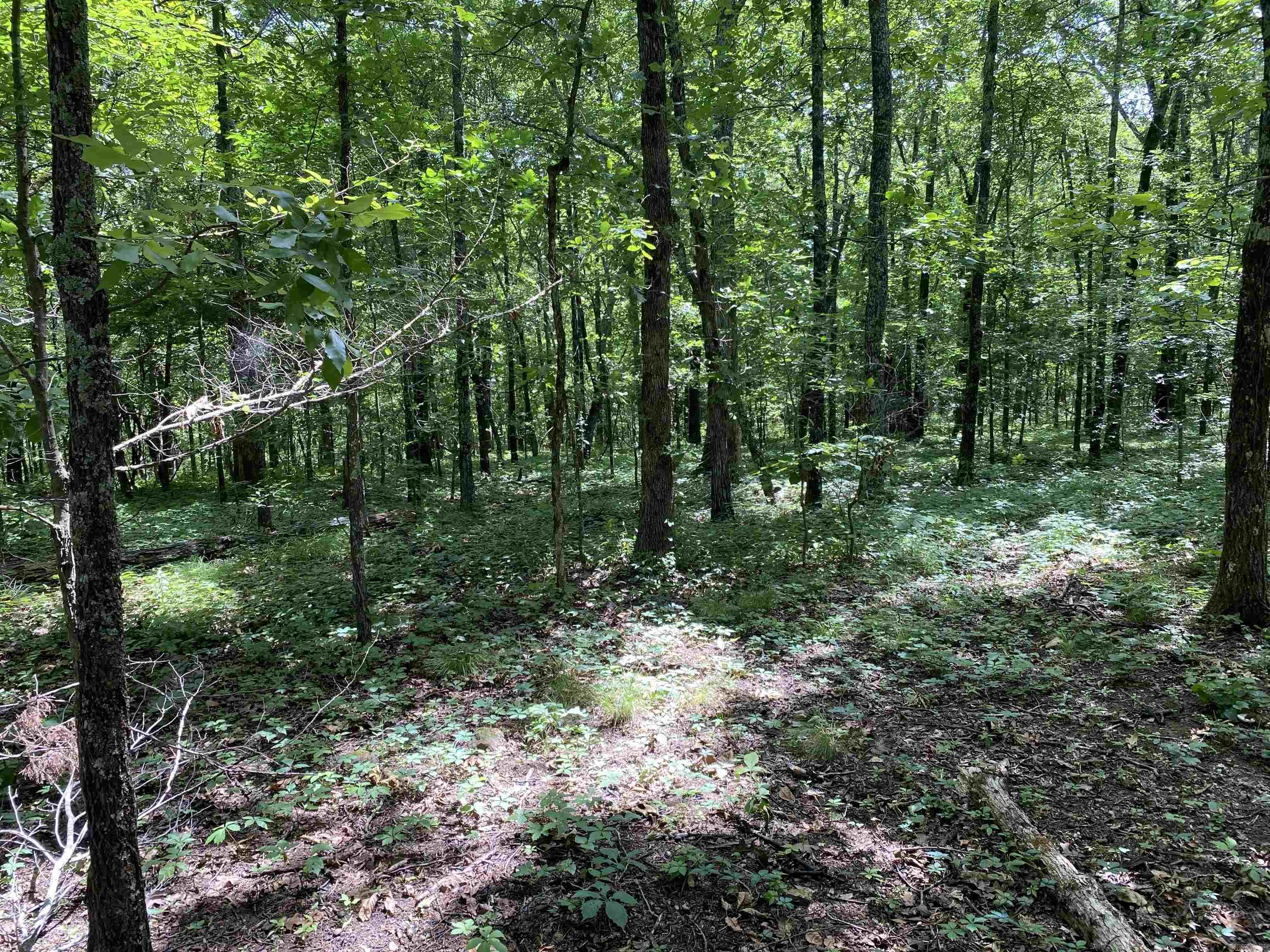 Lot 16 Bluff  Edgemont, AR