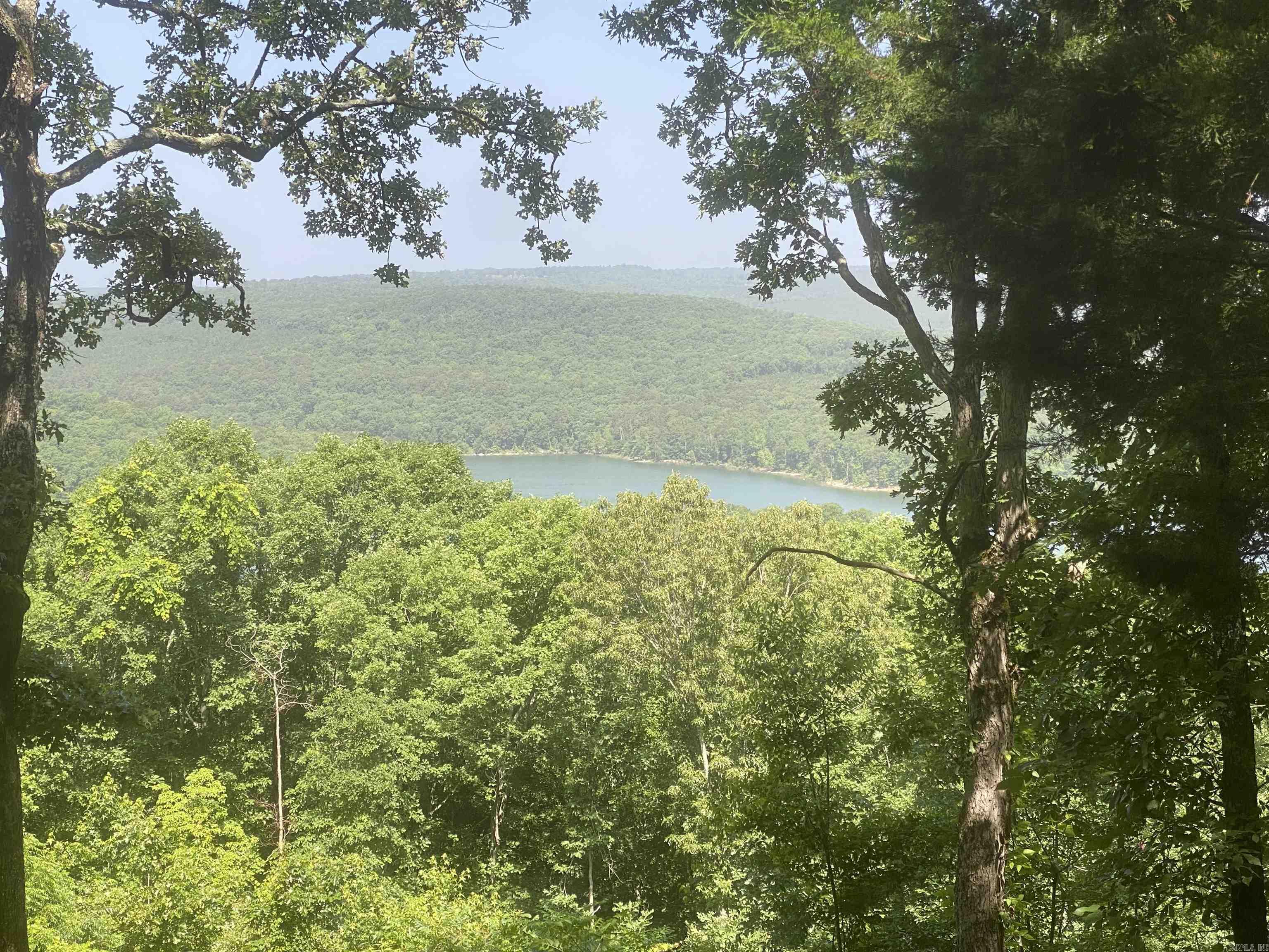 Lot 16 Bluff  Edgemont, AR