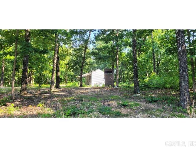 61 Barnes  Evening Shade, AR