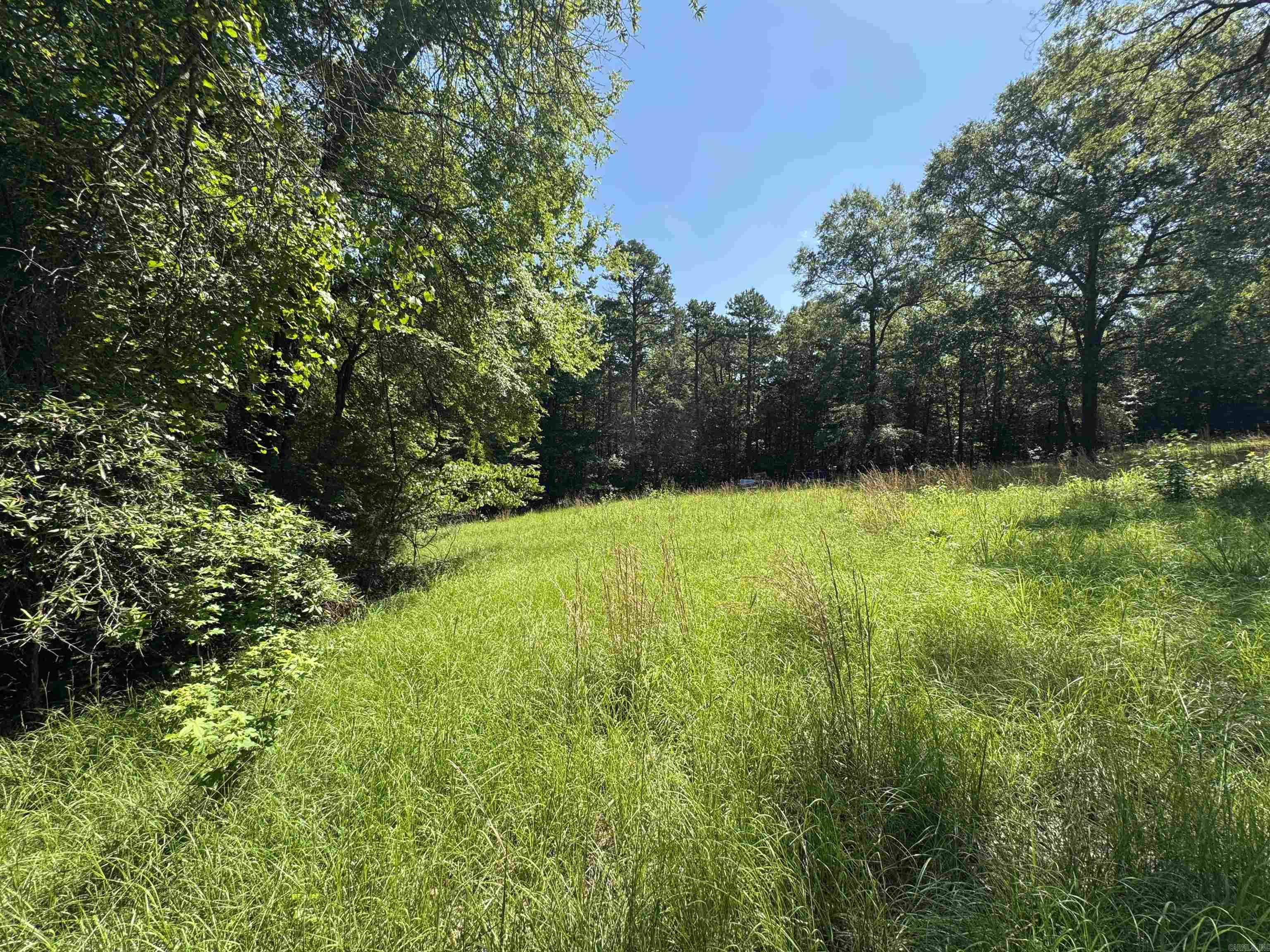 Tract 1 Waterside Drive  Conway, AR