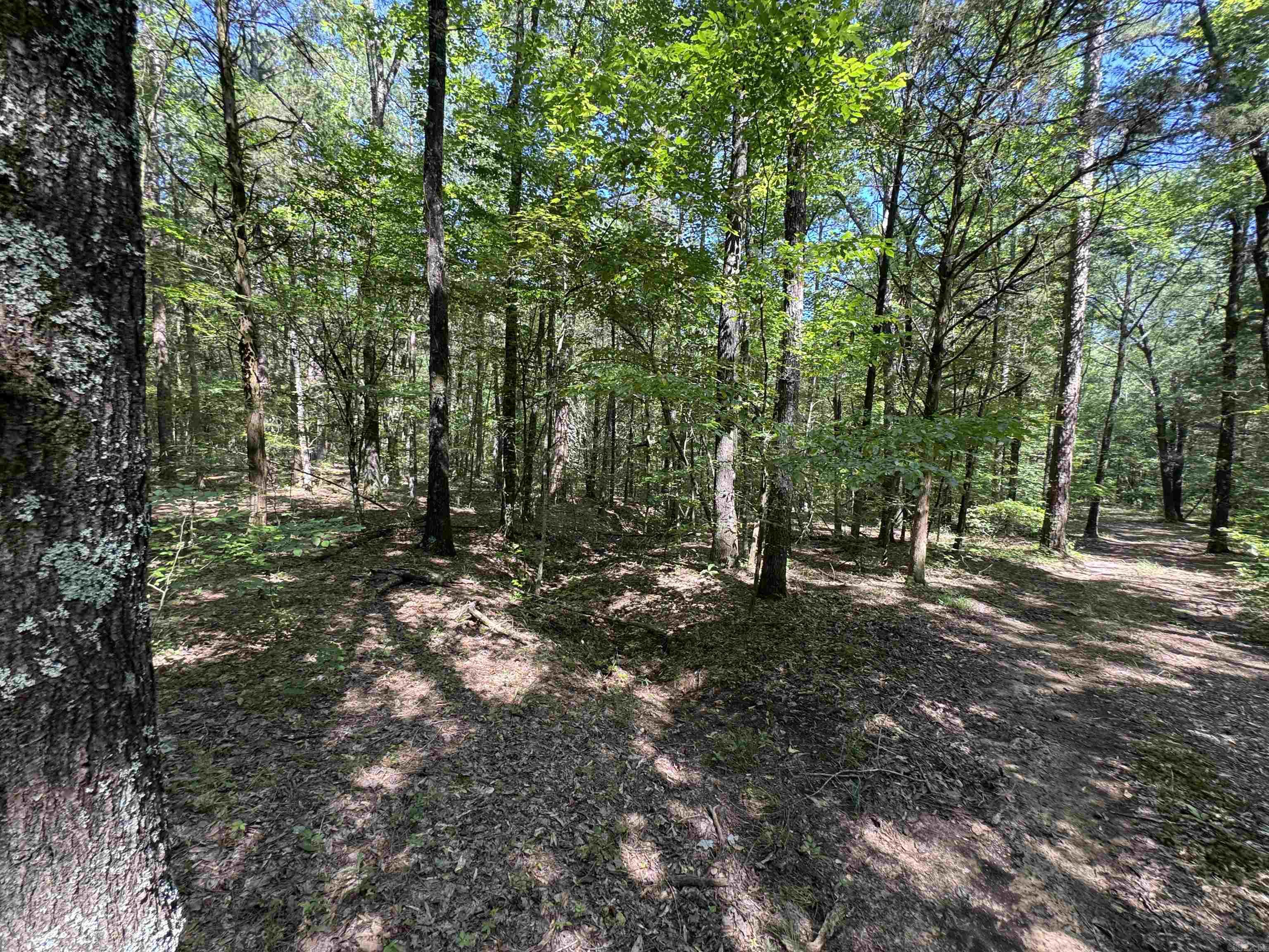 Tract 1 Waterside Drive  Conway, AR