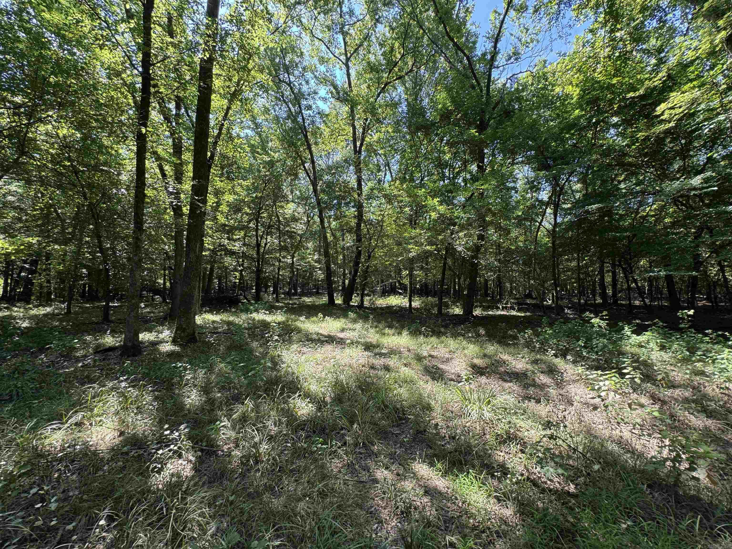 Tract 1 Waterside Drive  Conway, AR