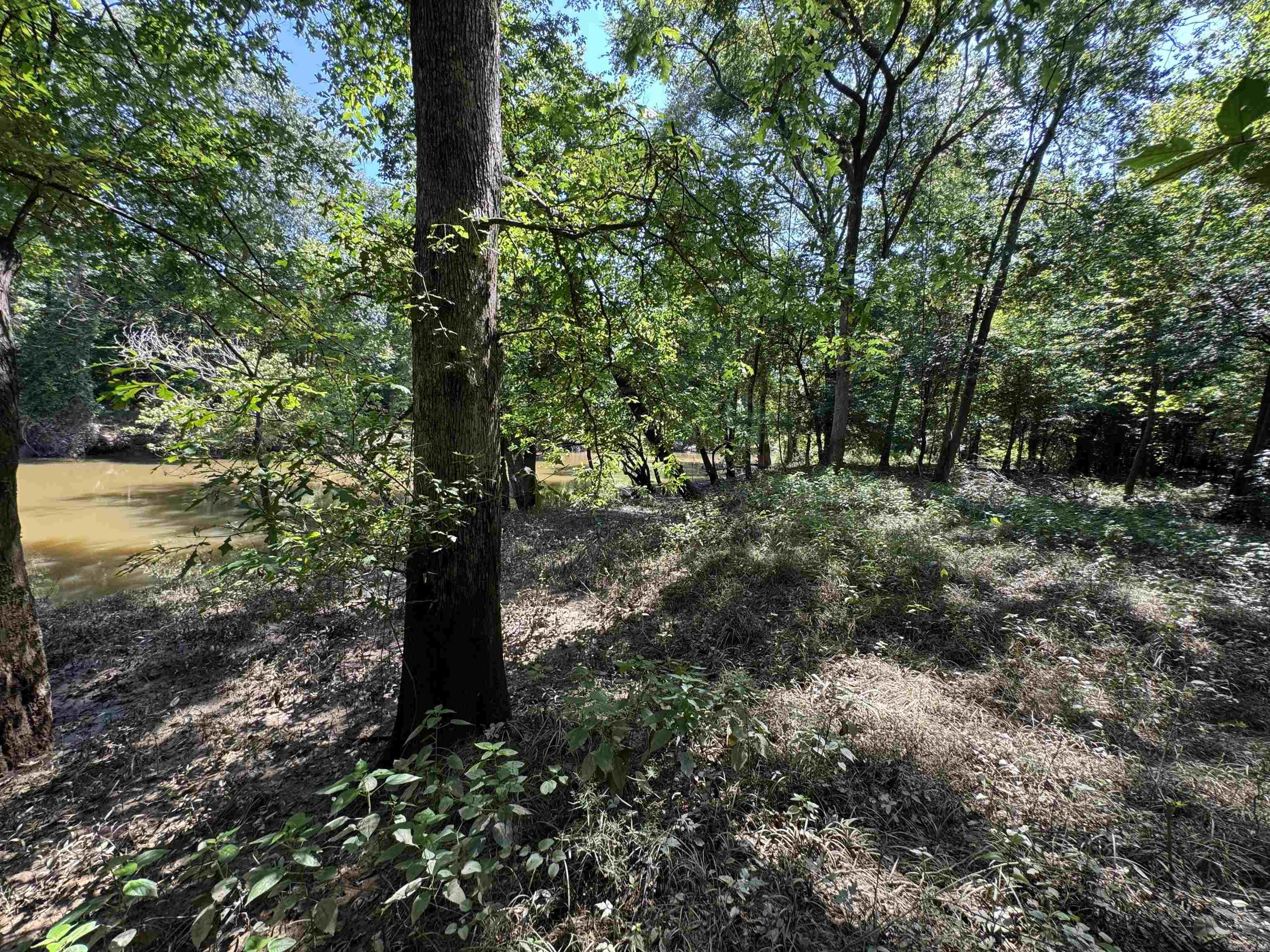 Tract 1 Waterside Drive  Conway, AR