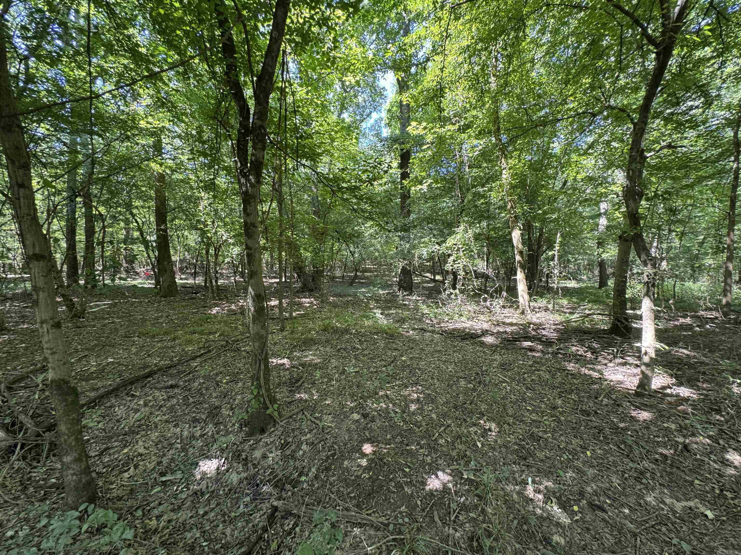 Tract 1 Waterside Drive  Conway, AR