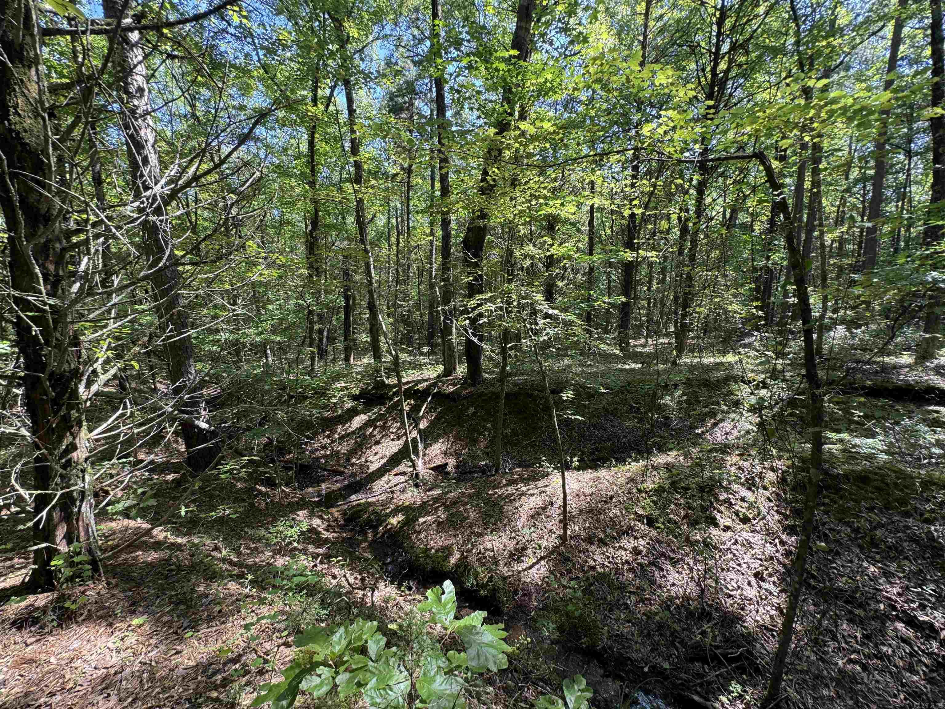 Tract 1 Waterside Drive  Conway, AR