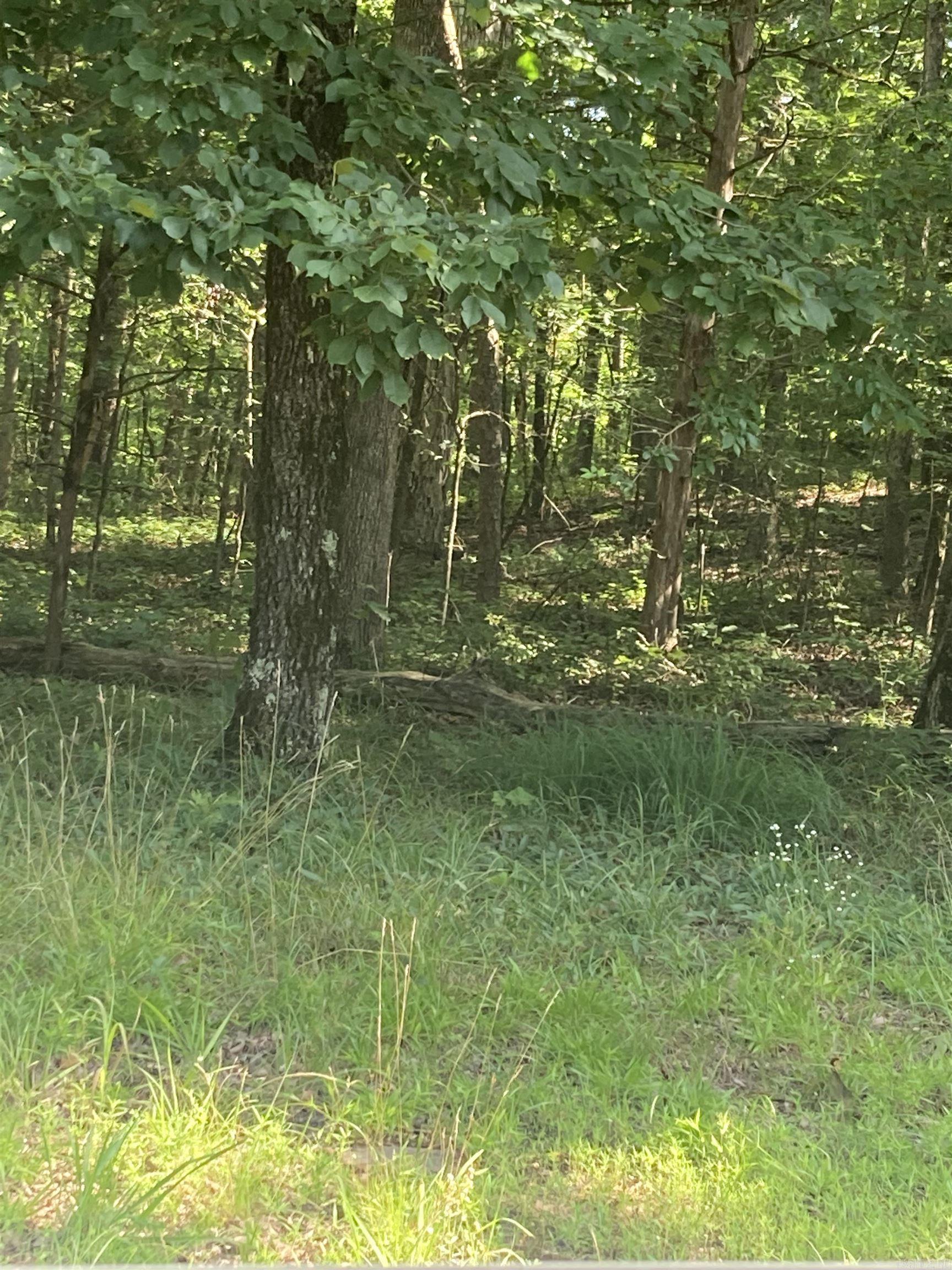 Lot 114 block12 Woodlawn Dr