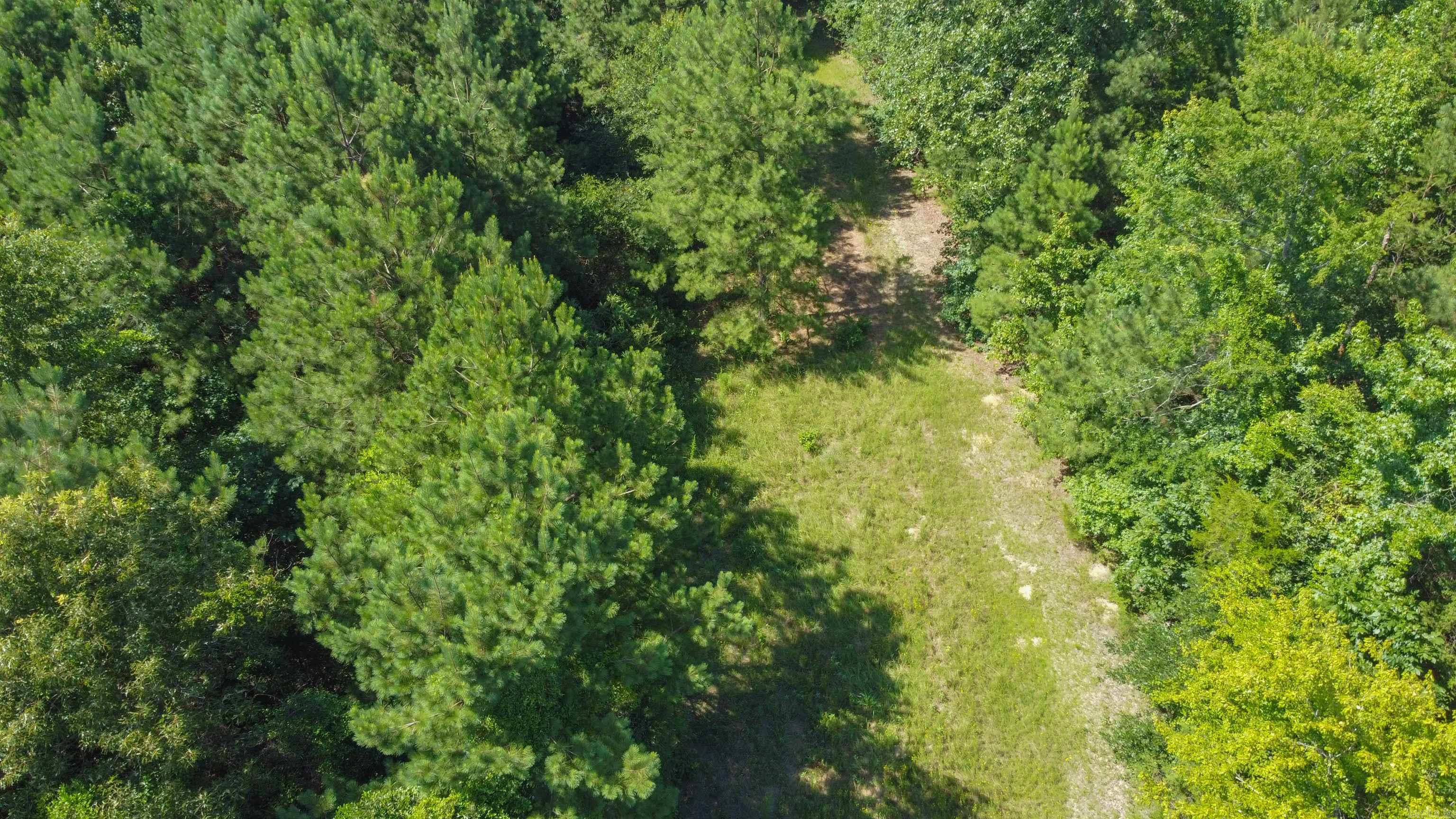 TBD FM 2327  Queen City, TX