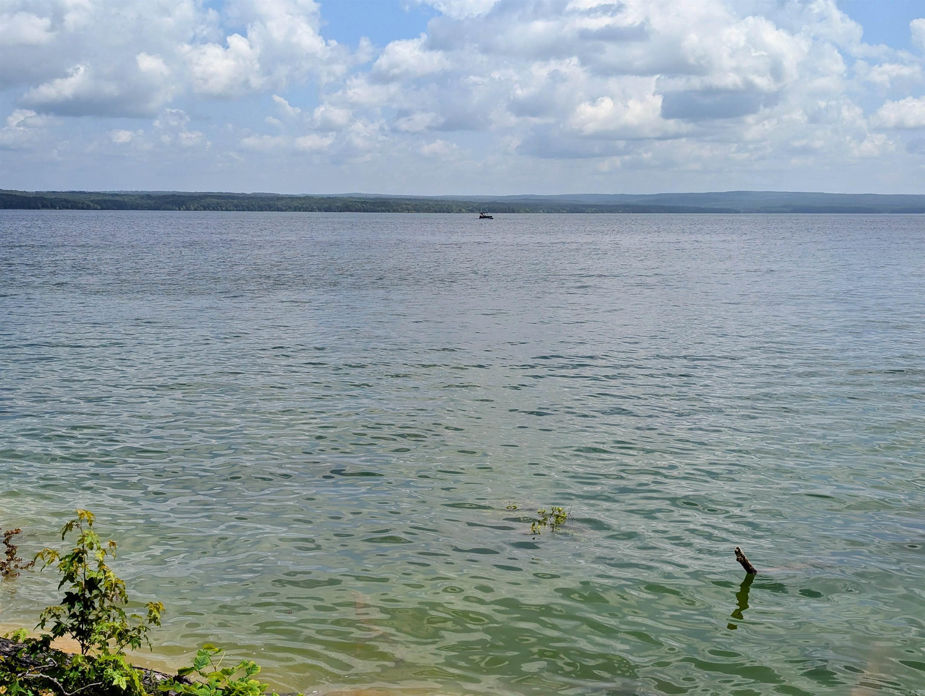 160 Lake Point Drive Quitman, AR 72131