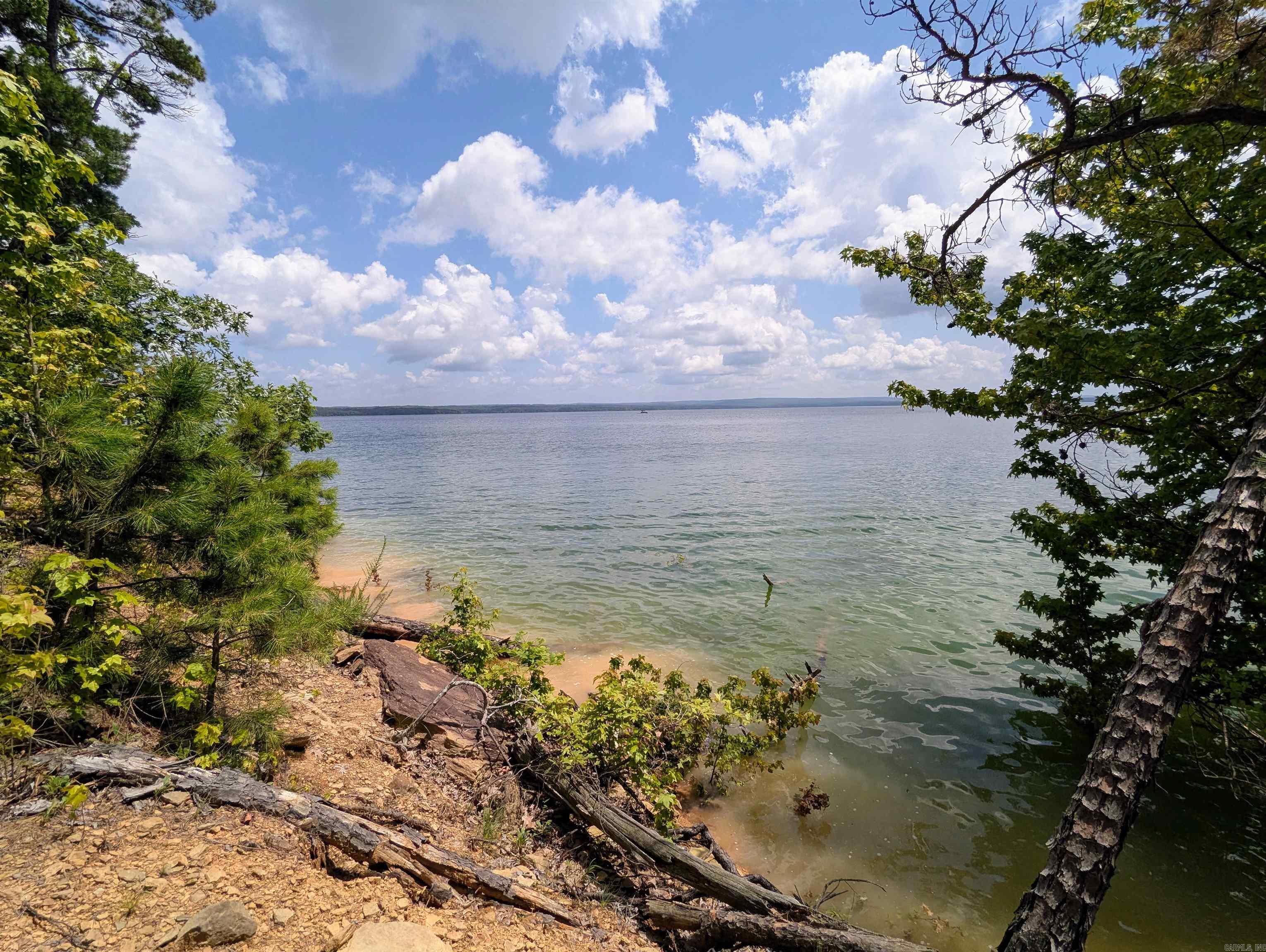 160 Lake Point Drive Quitman, AR 72131