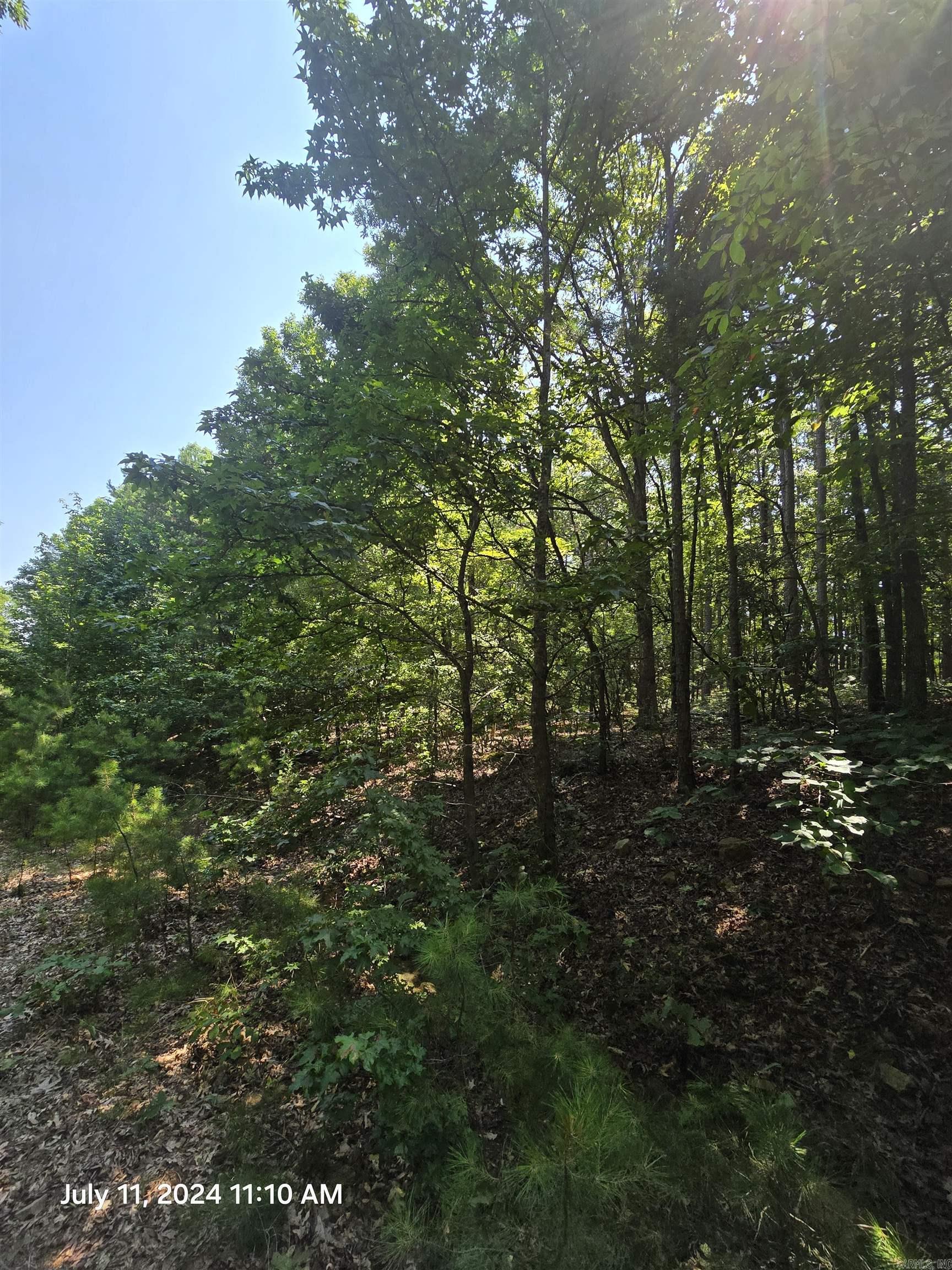 0 Diamond  Fairfield Bay, AR