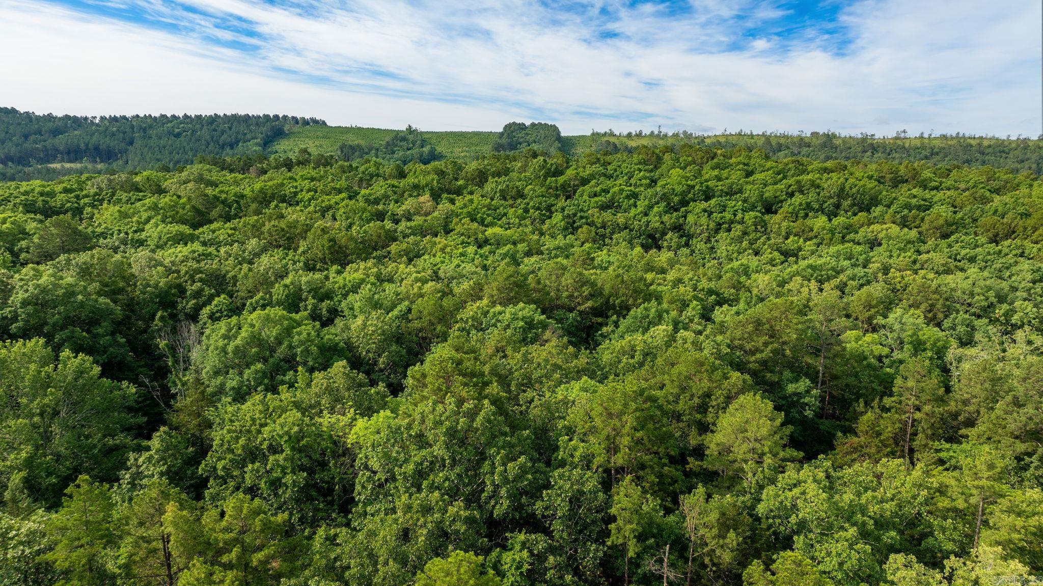 TBD Gum Drop  Houston, AR