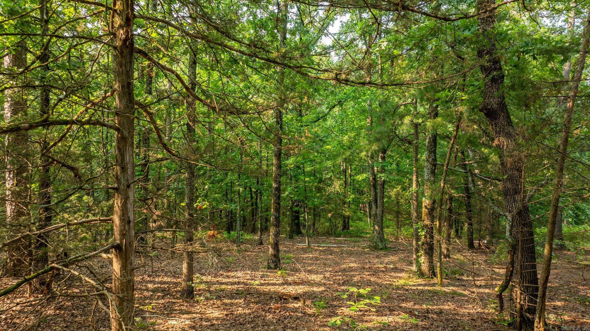 TBD Gum Drop  Houston, AR